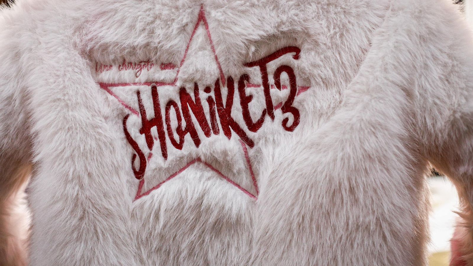 Búscate entre las mejores imágenes de la decimoséptima sesión preliminares del COAC 2025