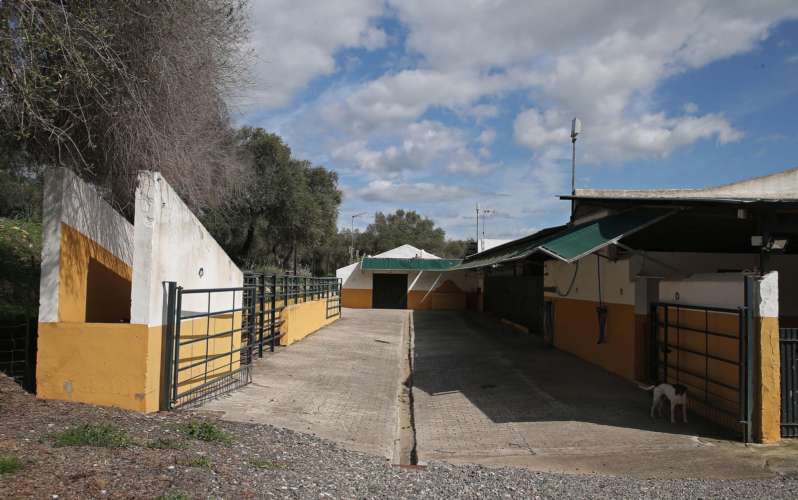 Fotos del lugar donde se produce Ribera de Hozgarganta, el primer vino del Campo de Gibraltar
