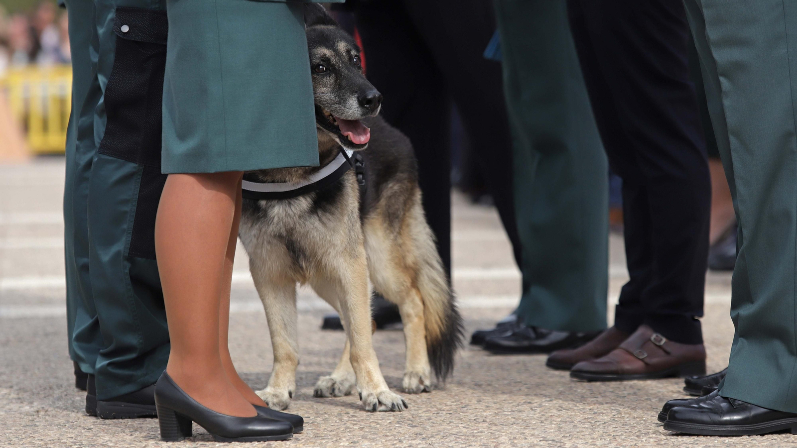 Fotos de la festividad de la Virgen del Pilar en Castellar