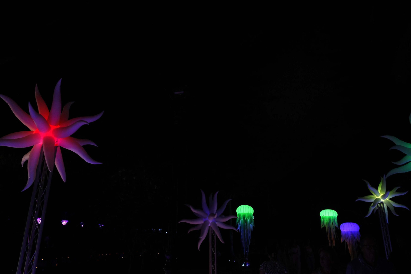 Fotos de los jardines mágicos de la Noche en Blanco de La Línea