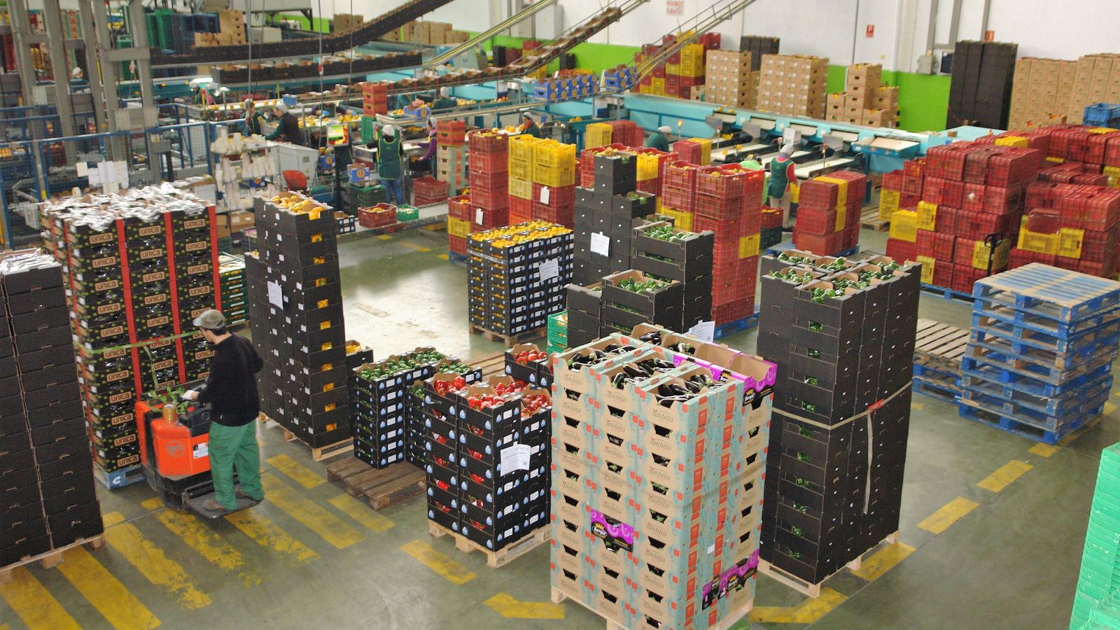 Productos hortícolas, en una cooperativa.