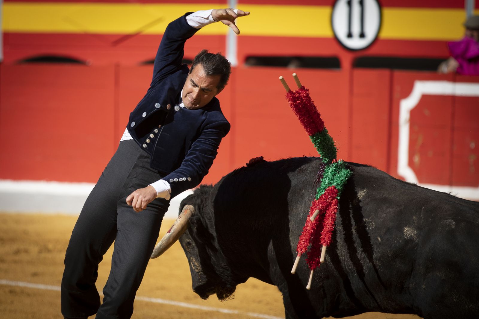 Las mejores imágenes del Festival Taurino en beneficio de Granadadown