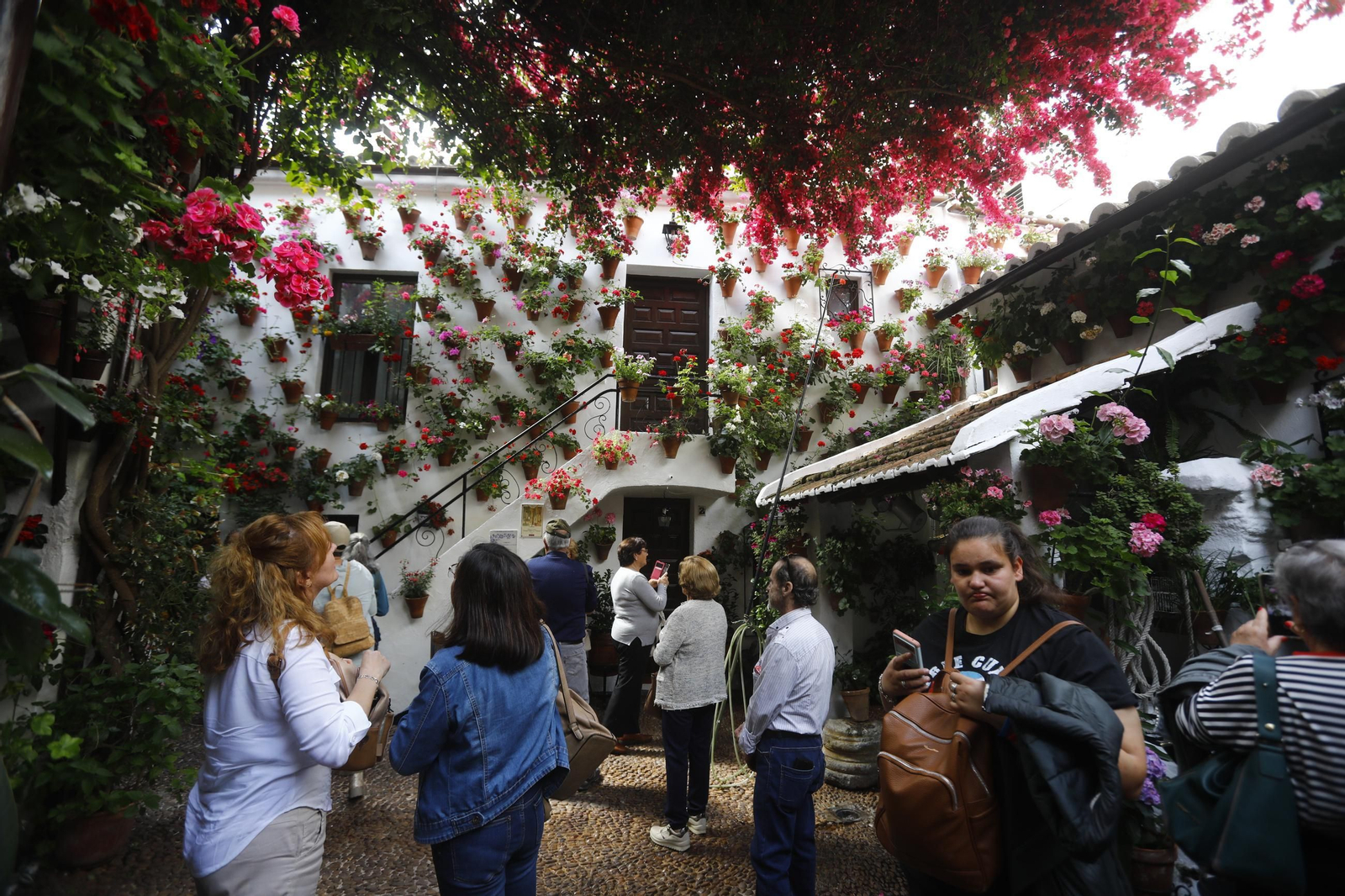 Colas e ilusión en el primer sábado de los Patios de Córdoba, en imágenes