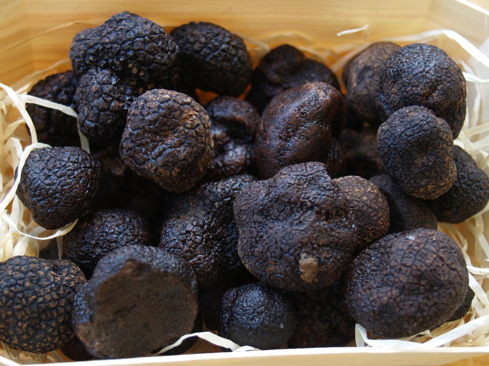 La trufa, protagonista de la mesa