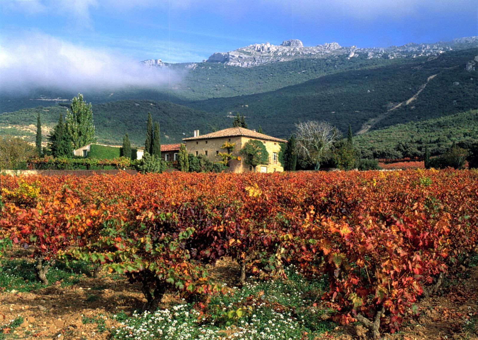 Granja de Nuestra Señora de Remelluri.