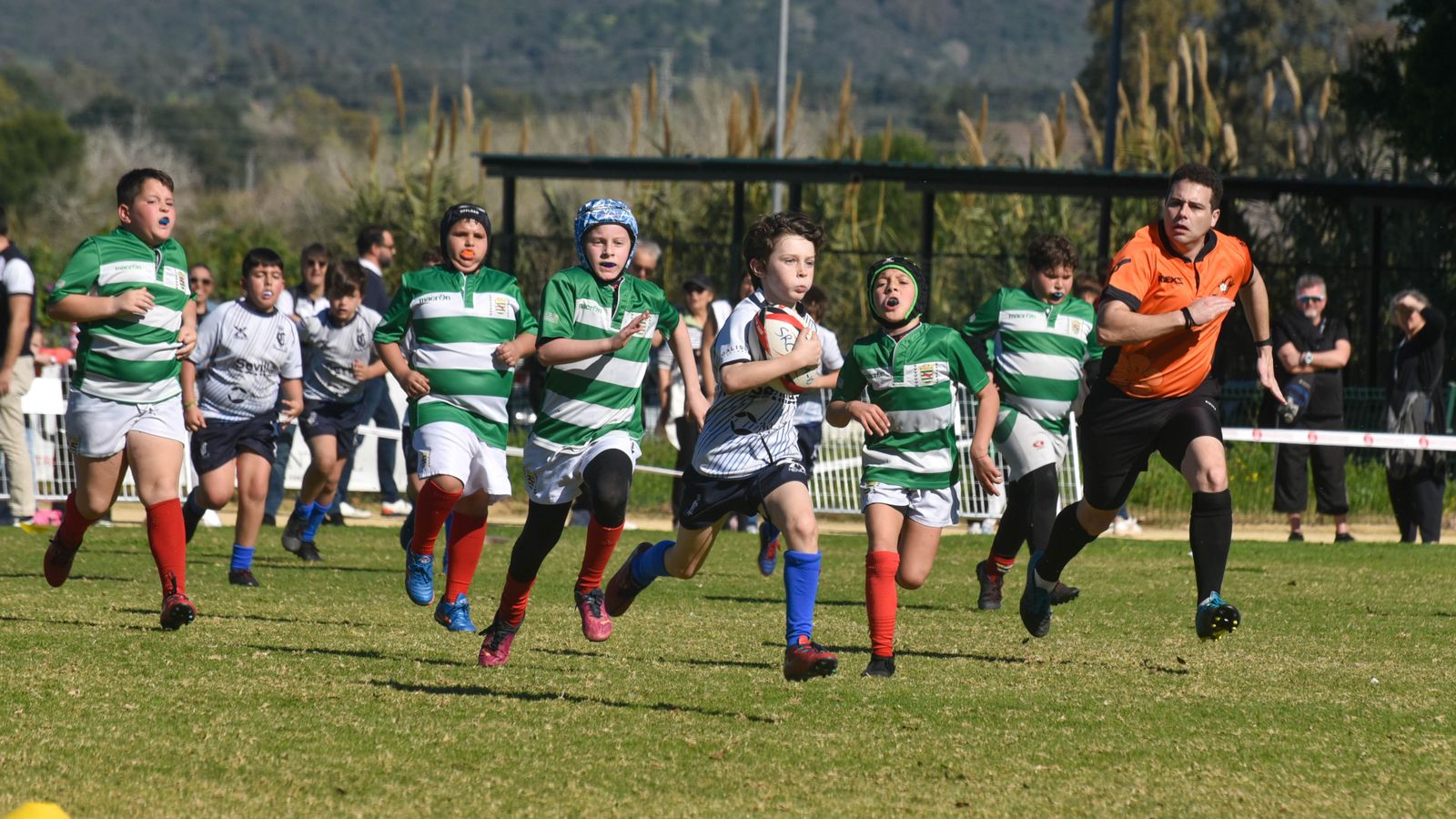 Las fotos del Festival Andaluz de rugby gradual en Pueblo Nuevo de Guadiaro