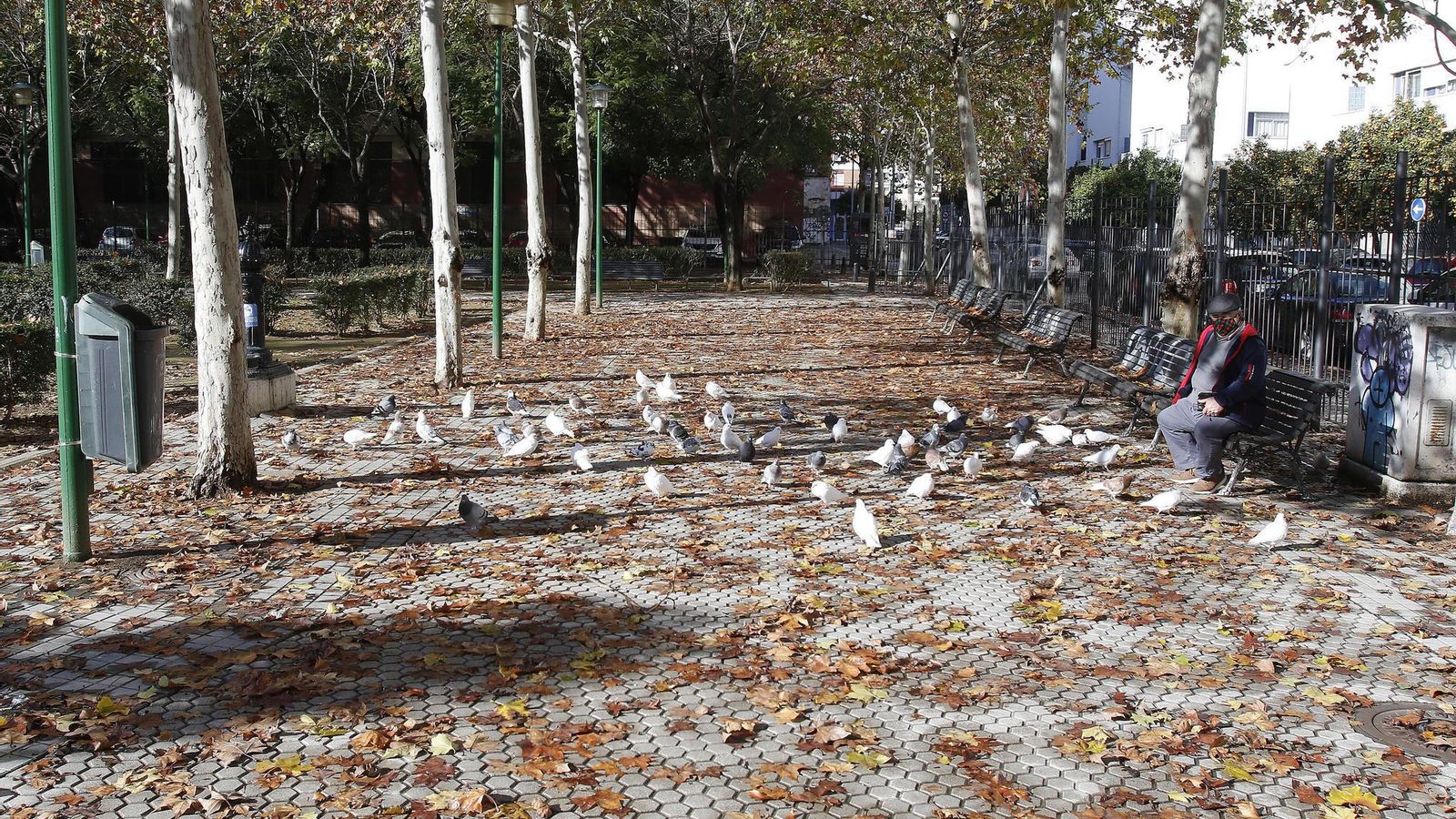 Una persona sentada en el paseo perimetral del parque.