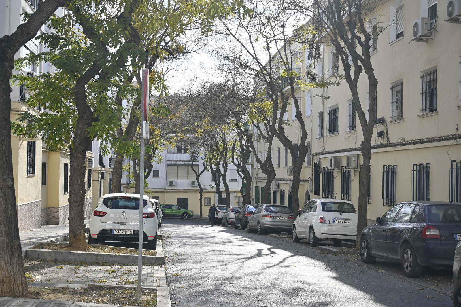 Barrio a Barrio: Imágenes de San Sebastián