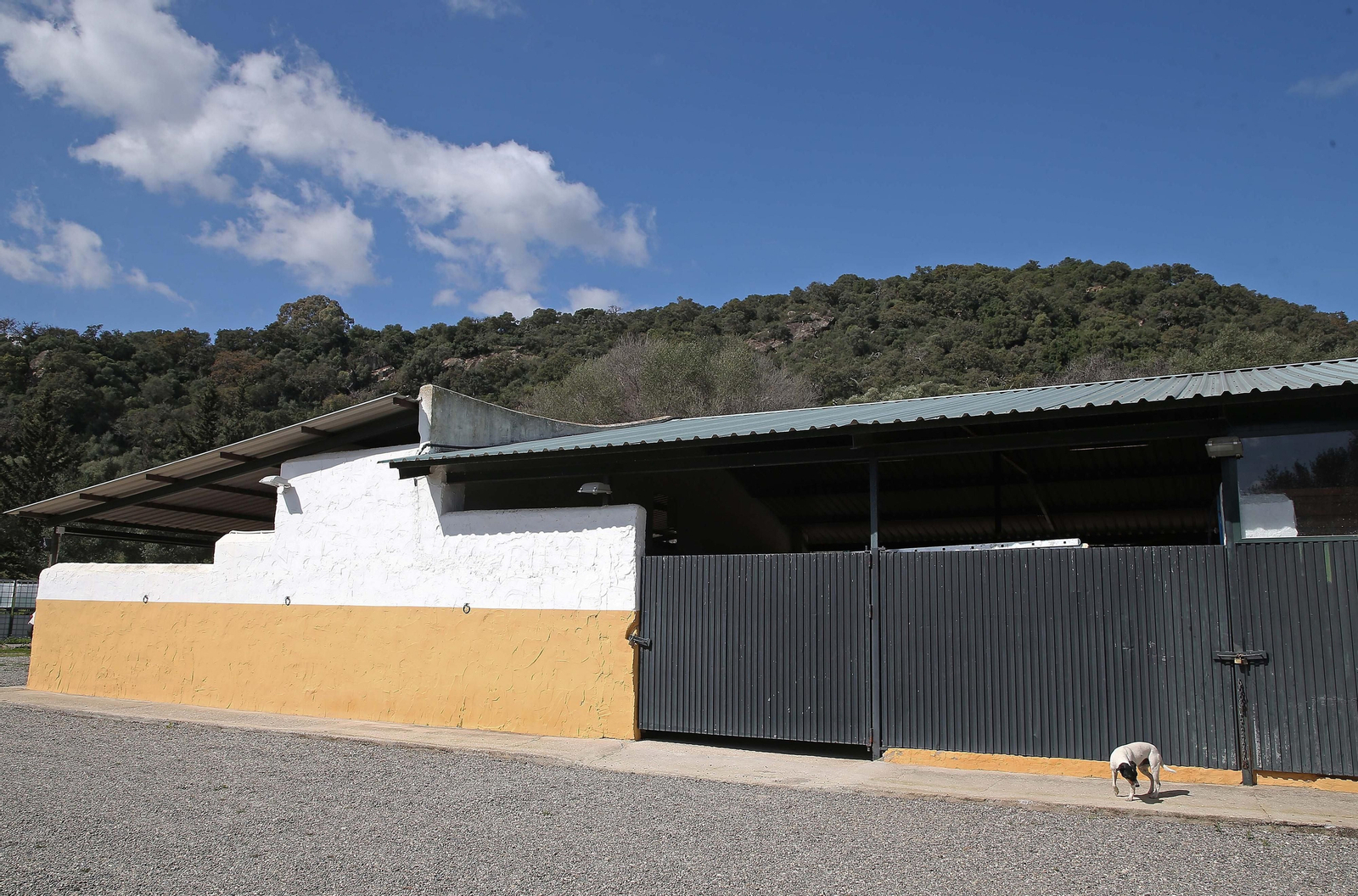 Fotos del lugar donde se produce Ribera de Hozgarganta, el primer vino del Campo de Gibraltar