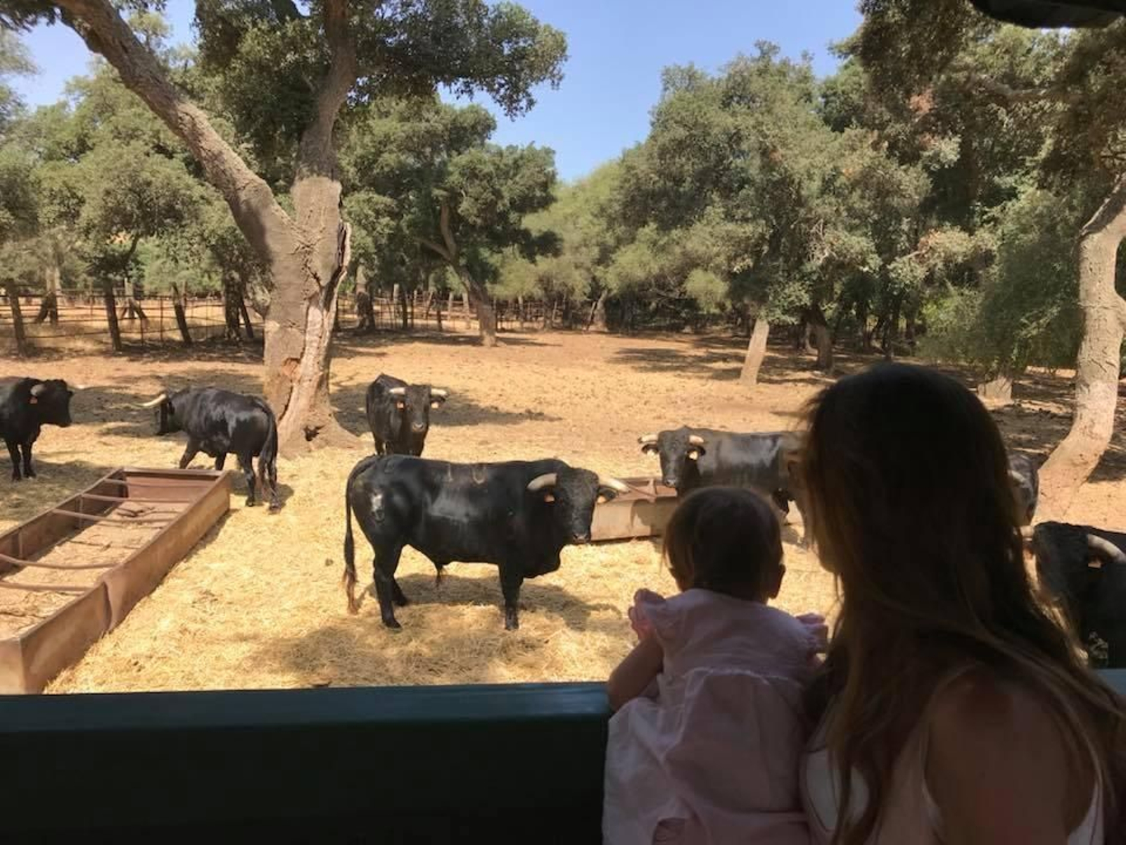 Imagen de la visita de la Ganadería Gavira.