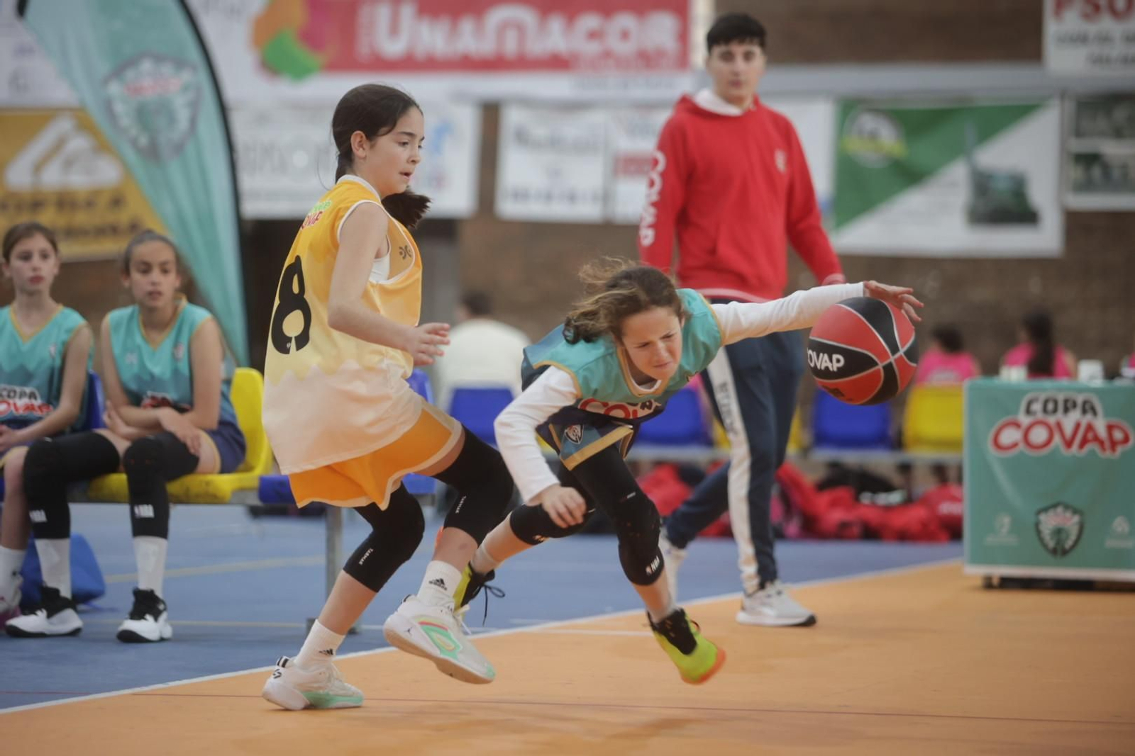Las mejores imágenes de la celebración de la Copa Covap en Palma del Río