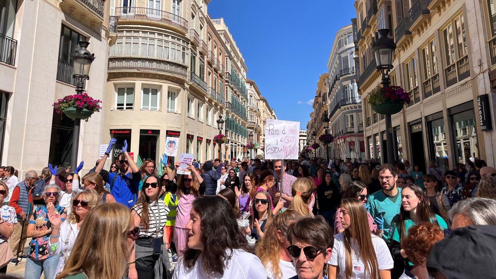 Concentración en calle Larios por el decreto 666/23