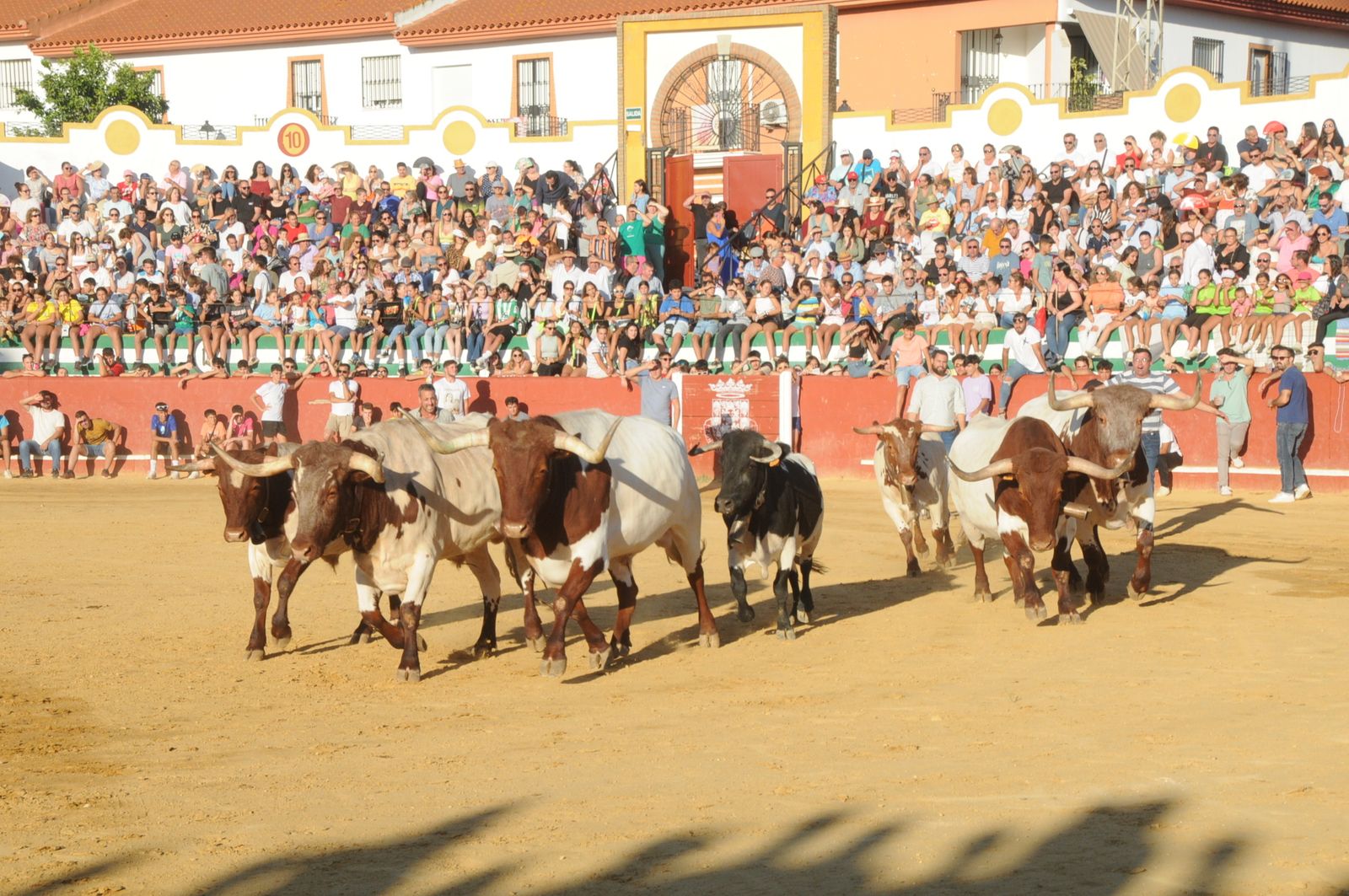 Uno de los momentos de Fiestas Patronales de Niebla.