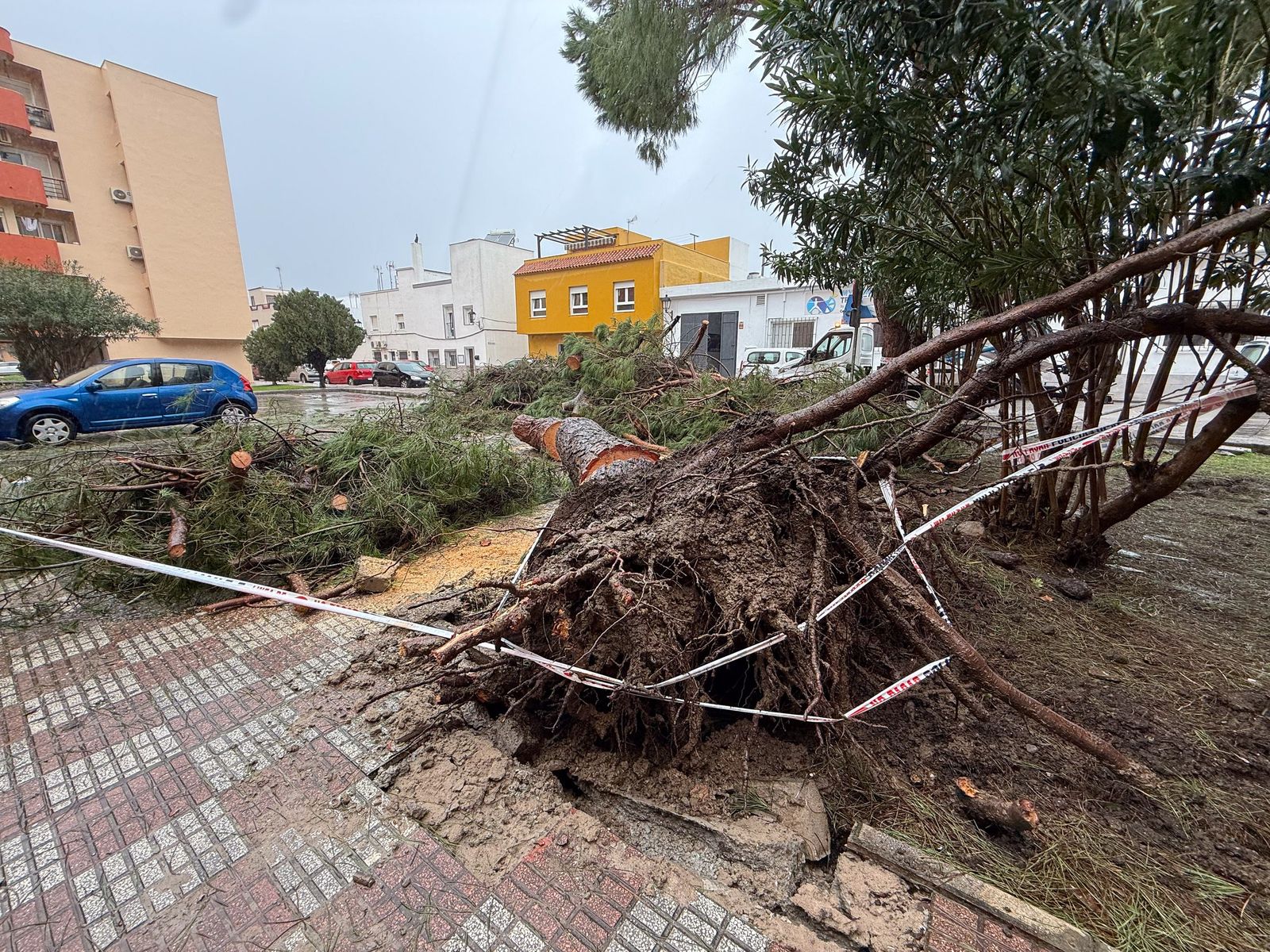 Fotografías de árboles caídos e inundaciones por la borrasca Leonardo