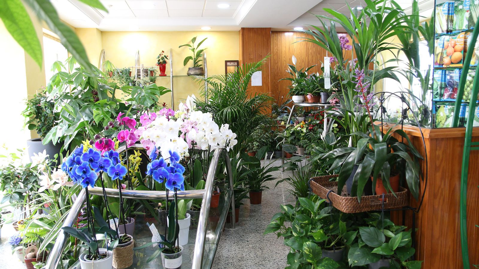 Suministros Tripiana mantiene este año su oferta especial 3x2, vigente el pasado año.