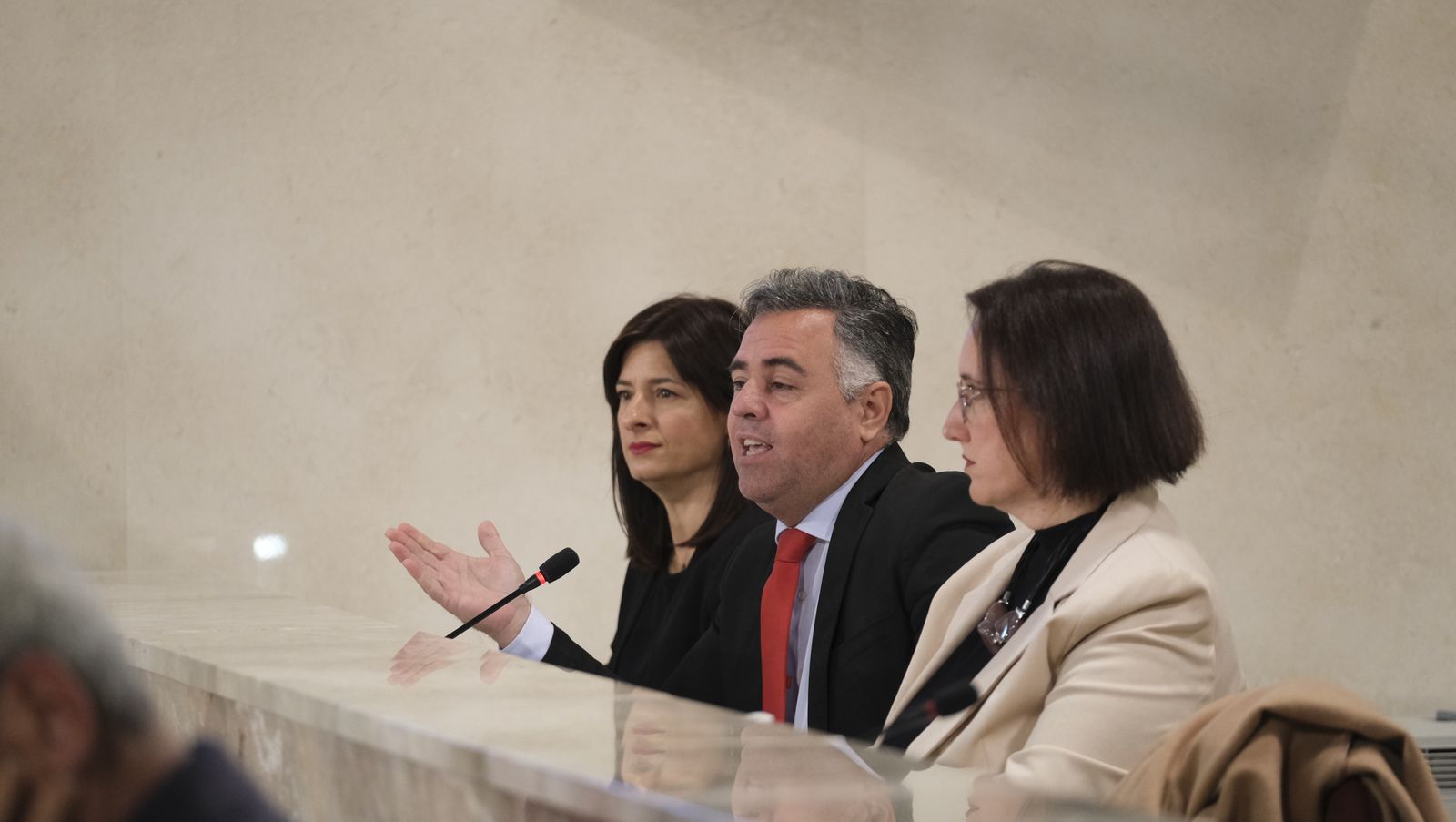 Imágenes del pleno extraordinario del Ayuntamiento de Almería