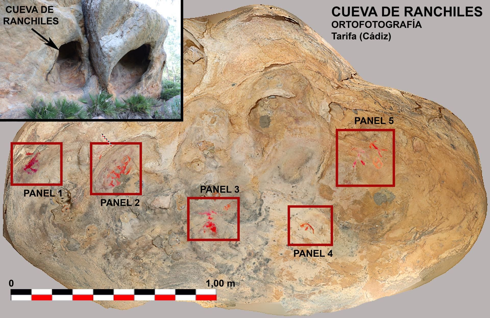 Ortofoto de los paneles rupestres del abrigo de Ranchiles, PNE.