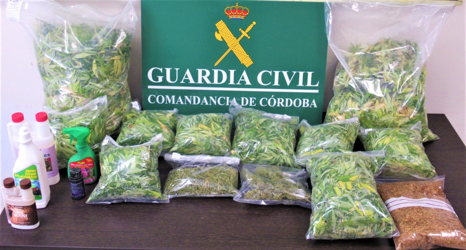 Marihuana intervenida por la Guardia Civil en Montilla.