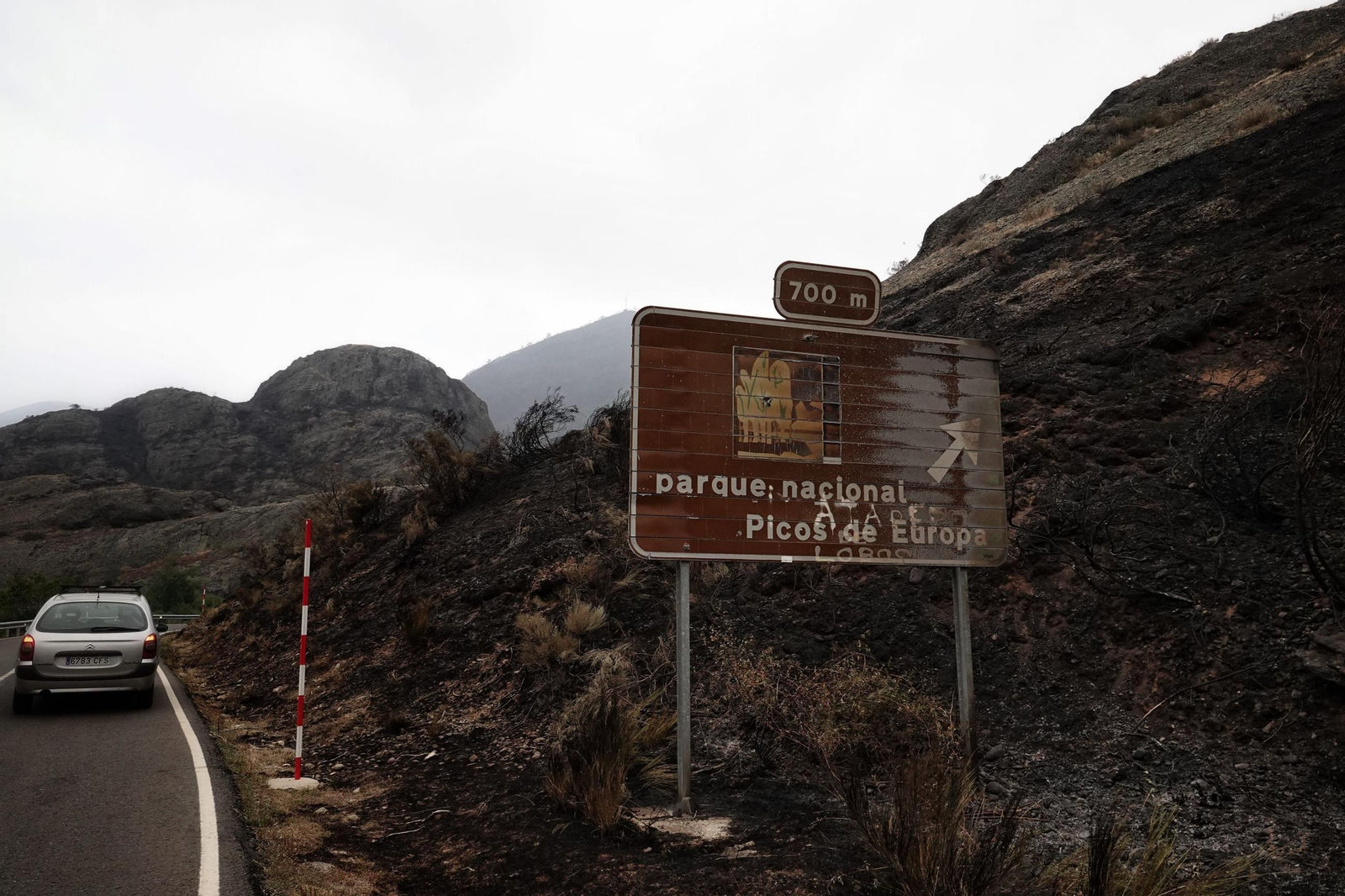 Campo quemado por el incendio en el entorno de los Picos de Europa, en Tierra de la Riena, en León.