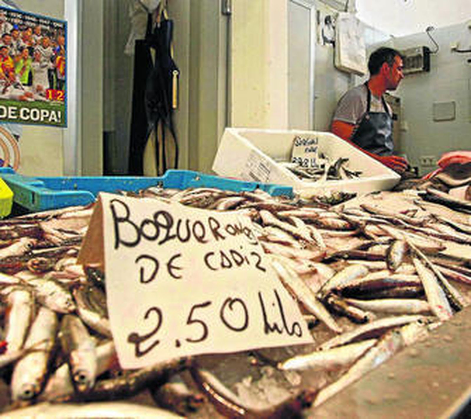 Los boquerones capturados en el Golfo de Cádiz, ayer a la venta en un puesto del mercado central gaditano.