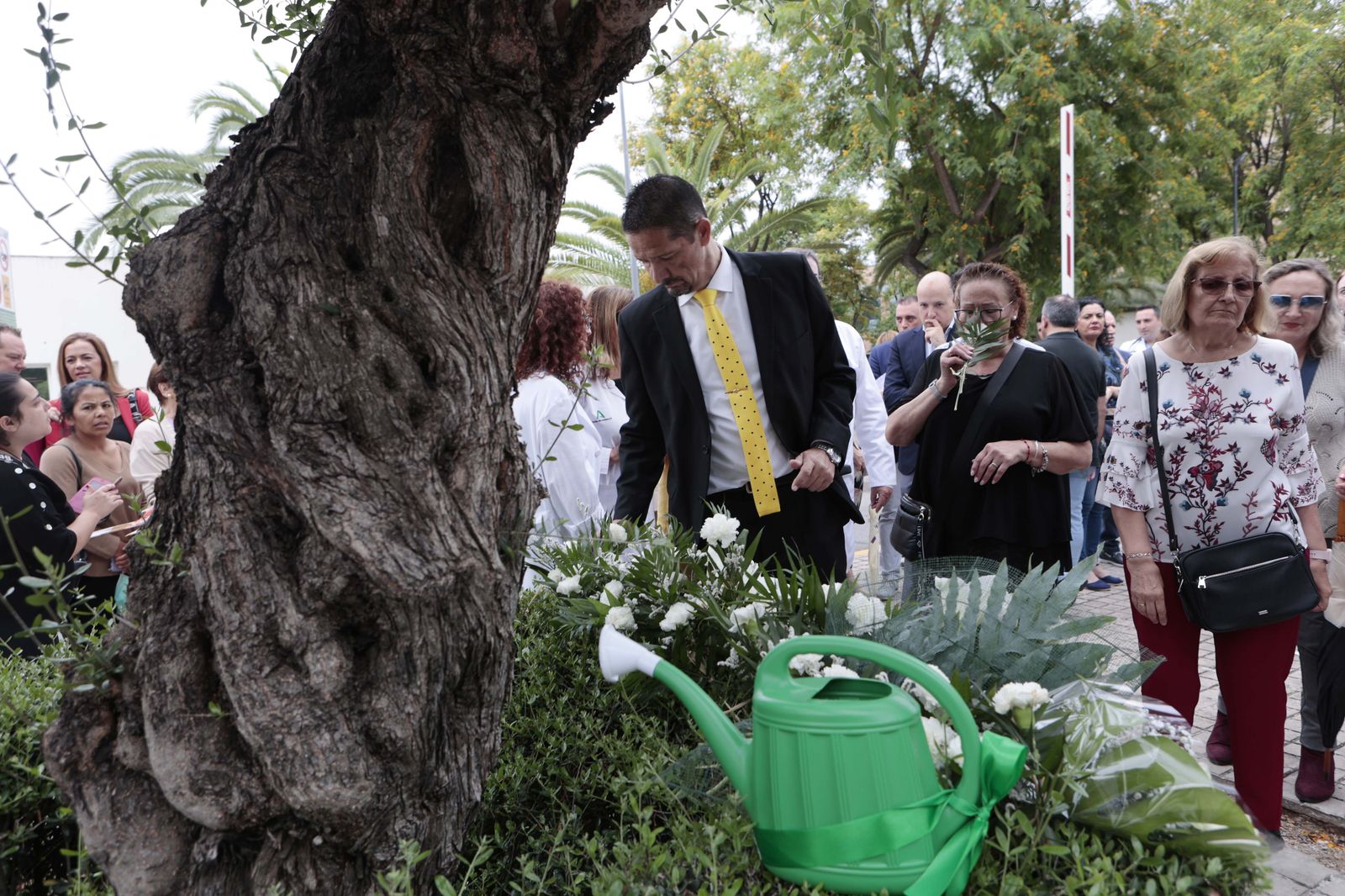 Día Nacional del Donante de órganos