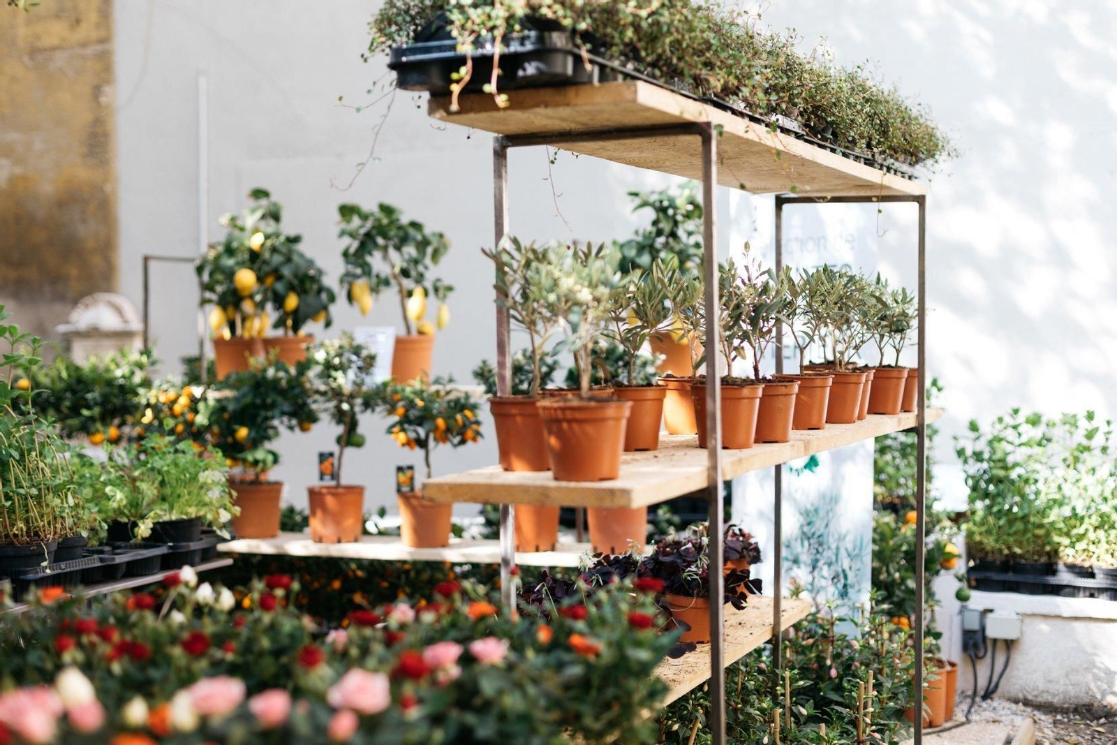 Con precios ajustados, el Jardín Efímero de Maison Bouture llega a Sevilla.