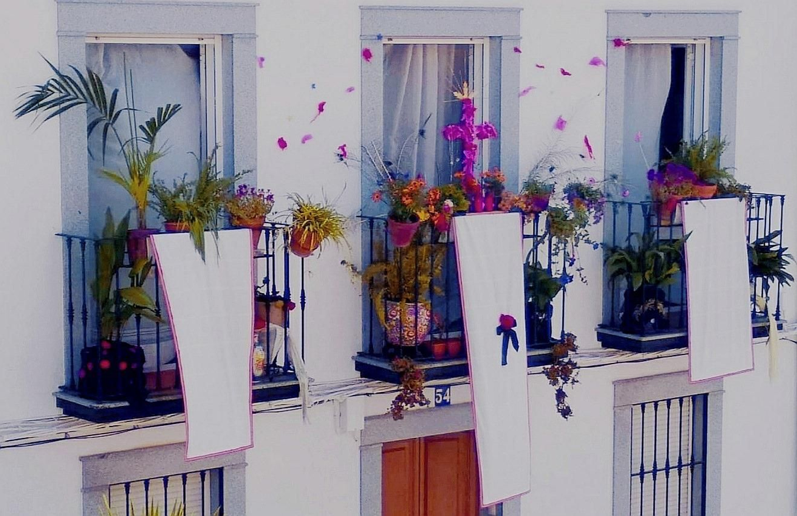 Fotografías de las Cruces de Mayo de Cardeña