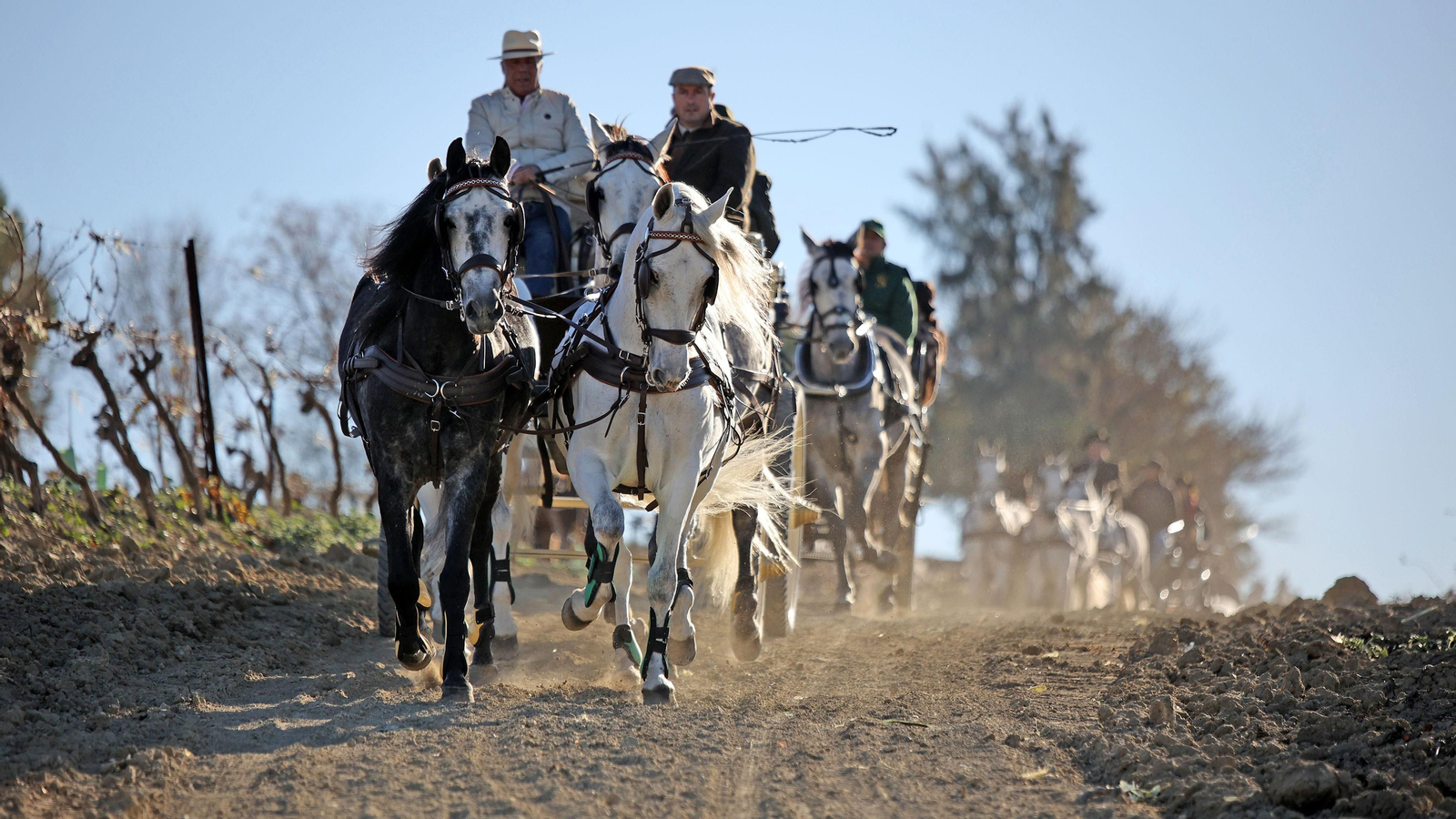 II Ruta Viñas de Jerez