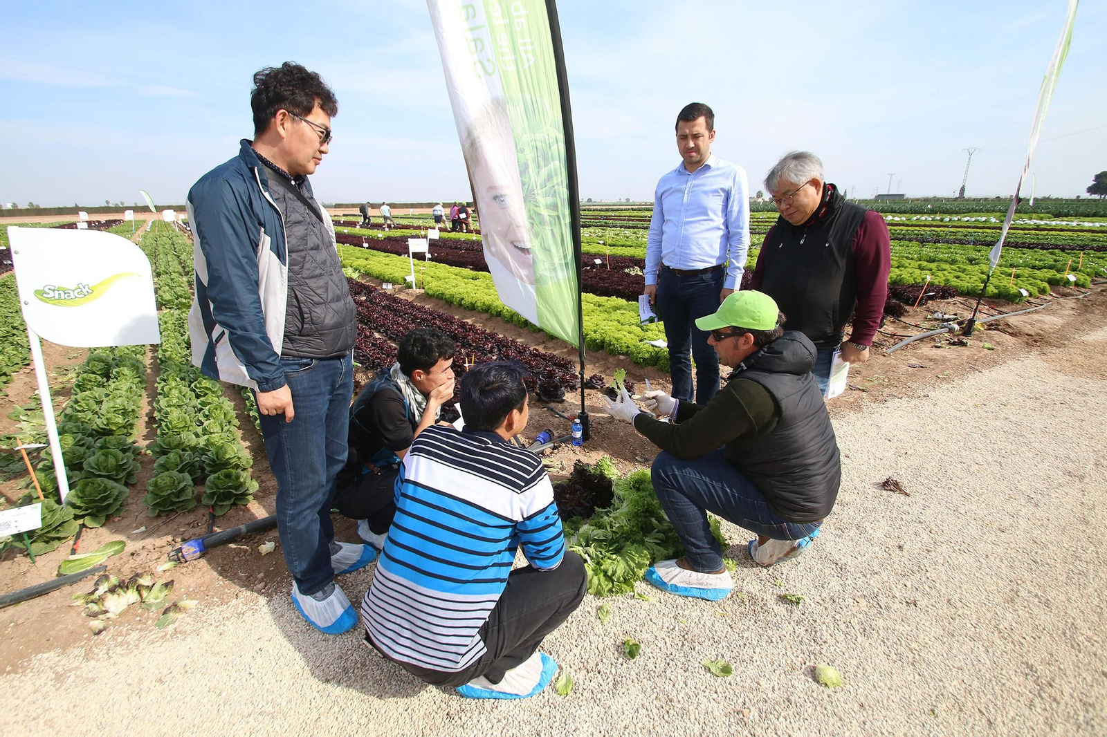 Fotogalería de las jornadas de puertas abiertas de Rijk Zwaan en Cartagena