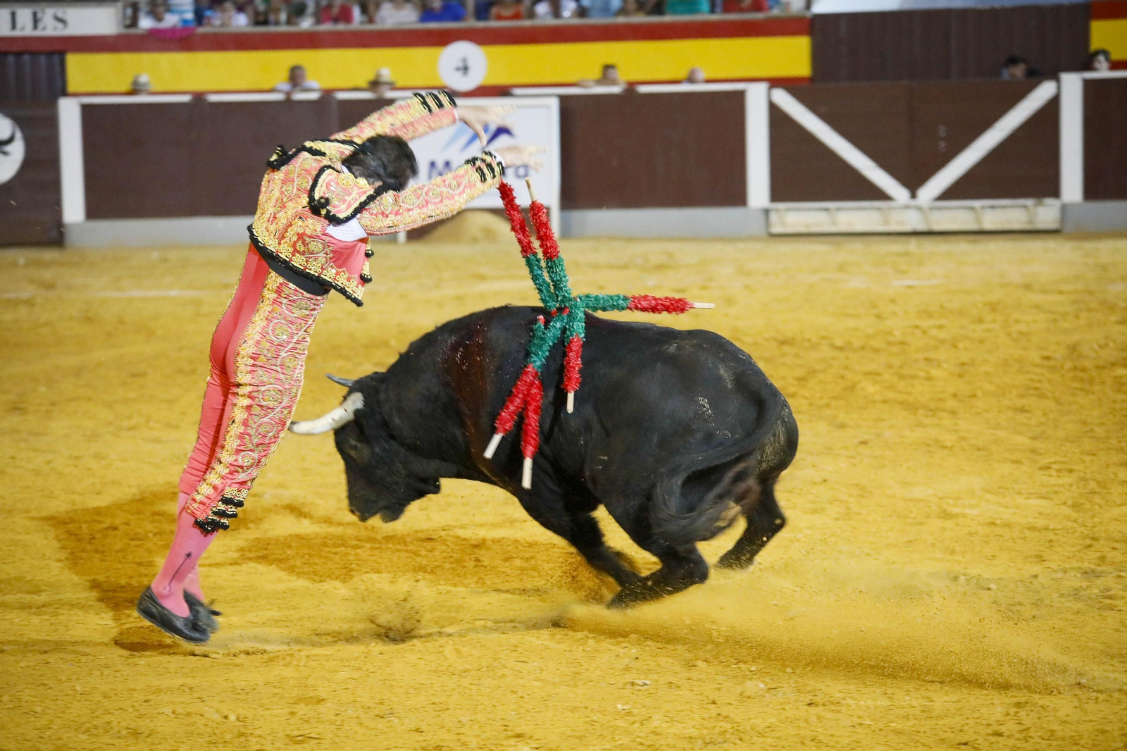 Corrida de toros Berja con un toro indultado, en imágenes