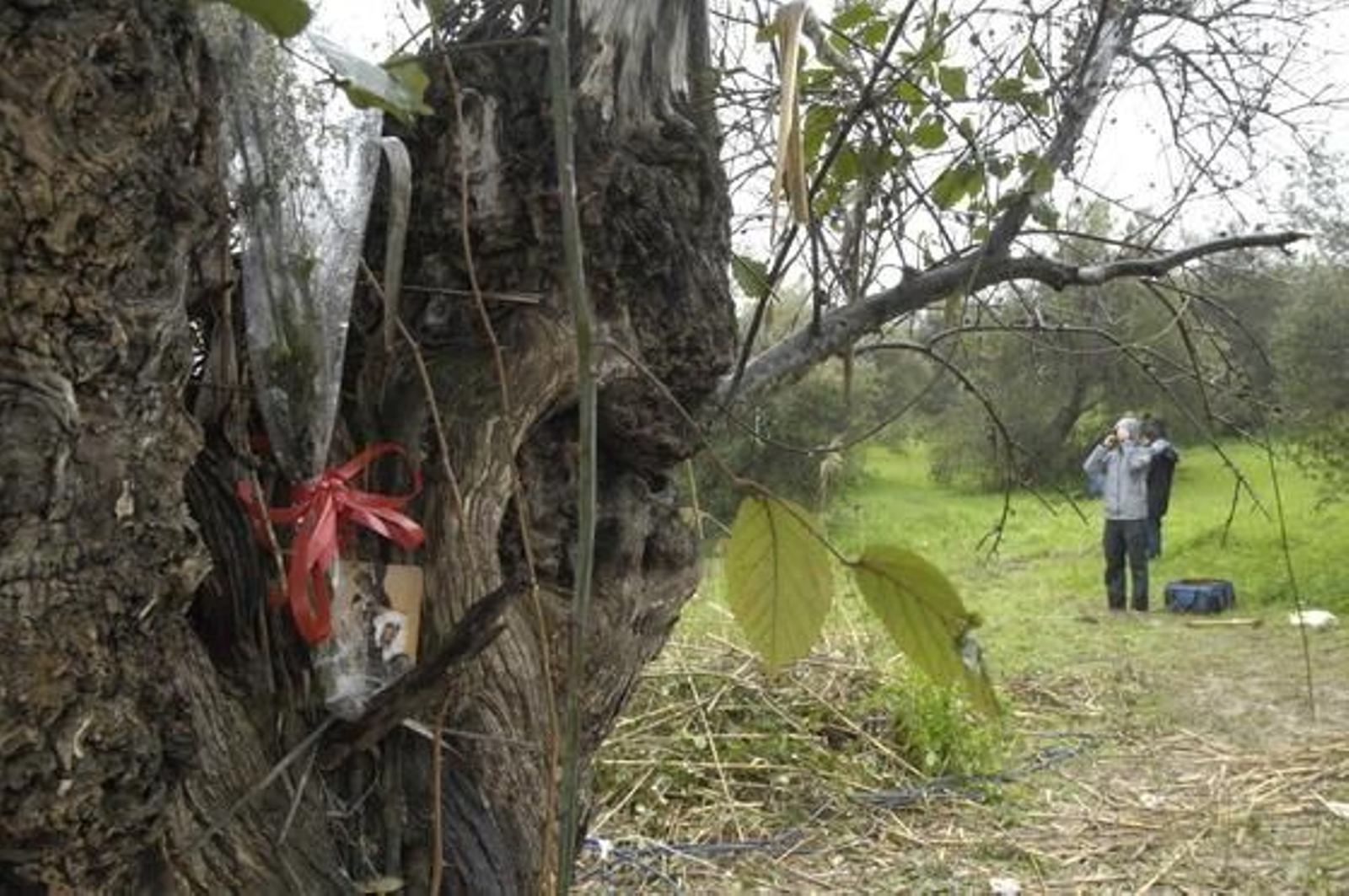 Un ramo de flores en un árbol junto al retrato de una Virgen recuerda a la joven Marta.

Foto: Manuel Gómez