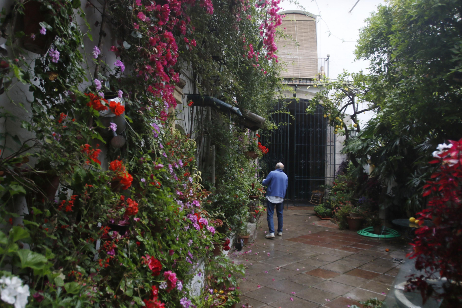Las fotos de los Patios de Córdoba en tiempos de crisis: La Palma, 3