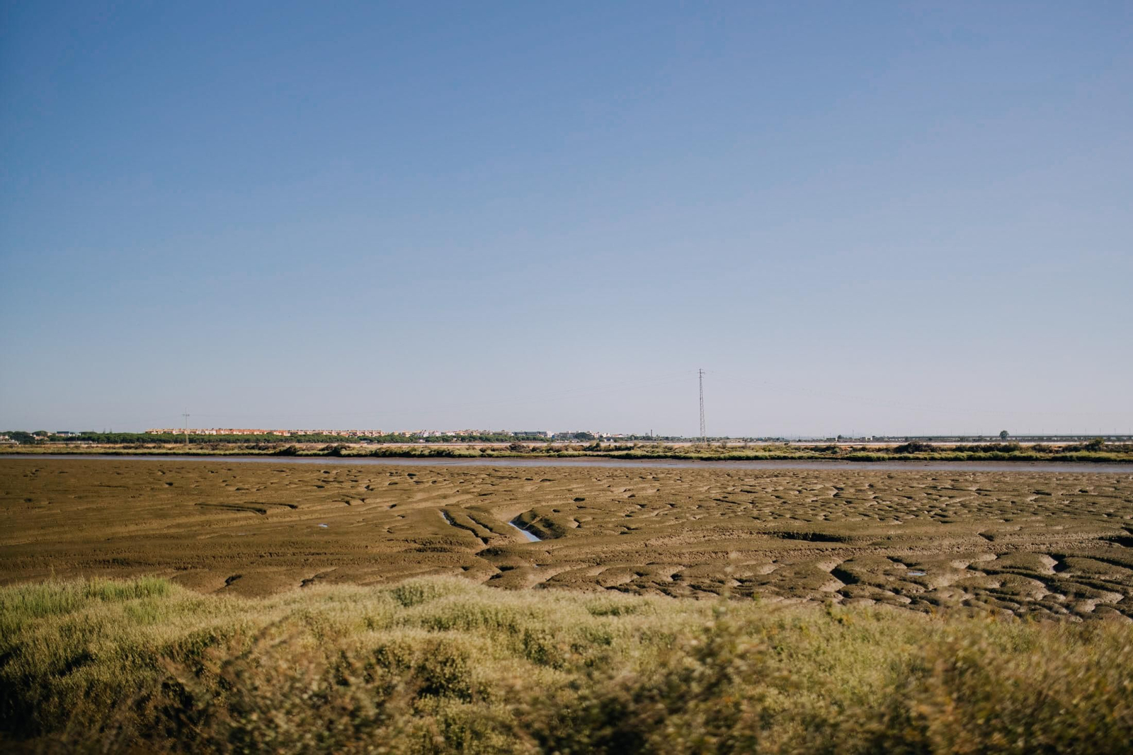 Un recorrido fotográfico por el Paraje Natural Marismas del Odiel