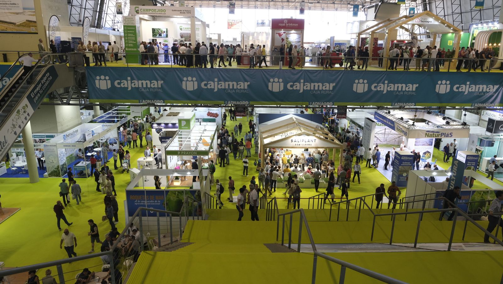 Imágenes de la Infoagro Almería 2023, en su segunda jornada