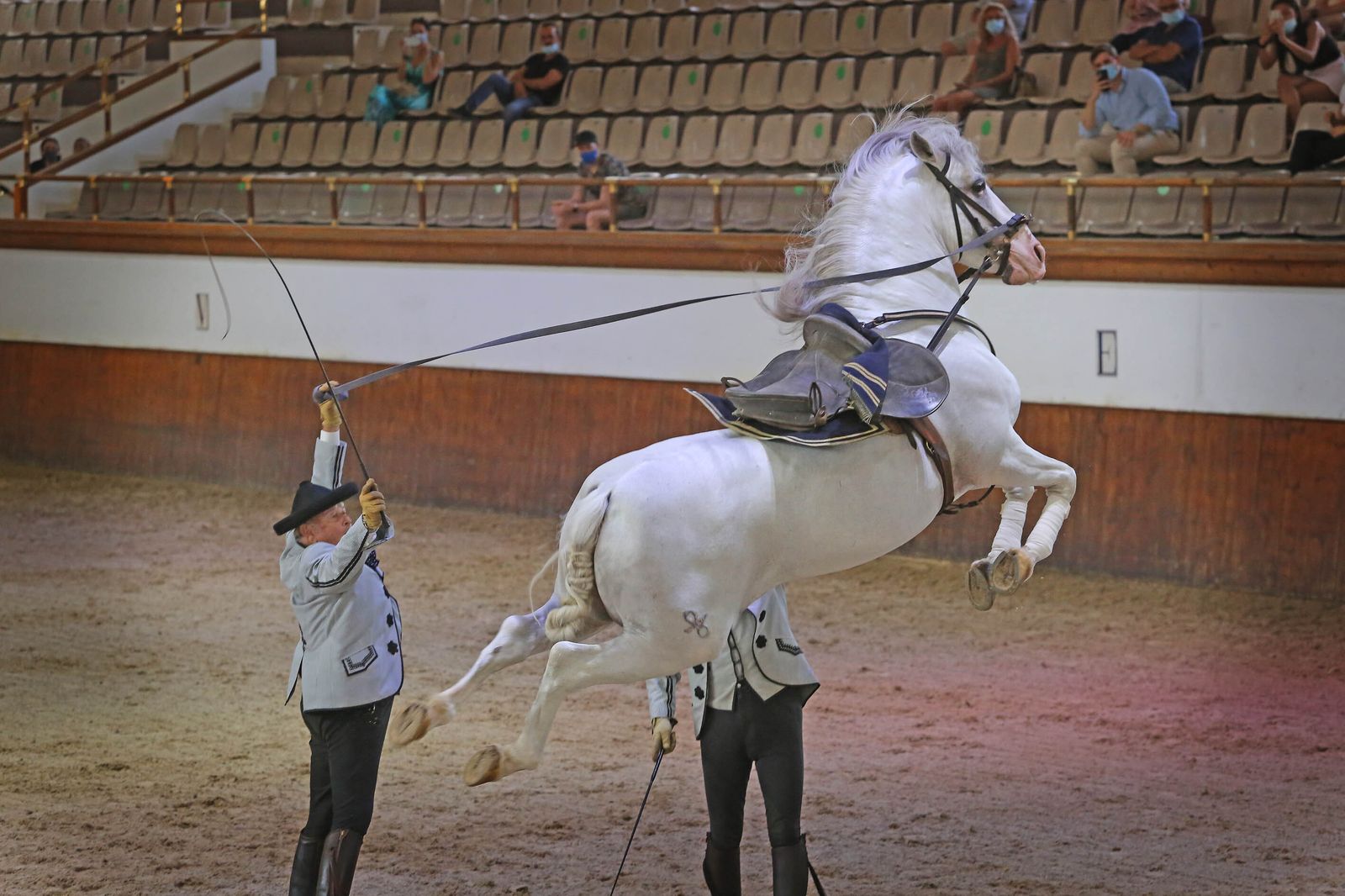 Un momento del espectáculo ofrecido este jueves en el picadero de la Real Escuela.