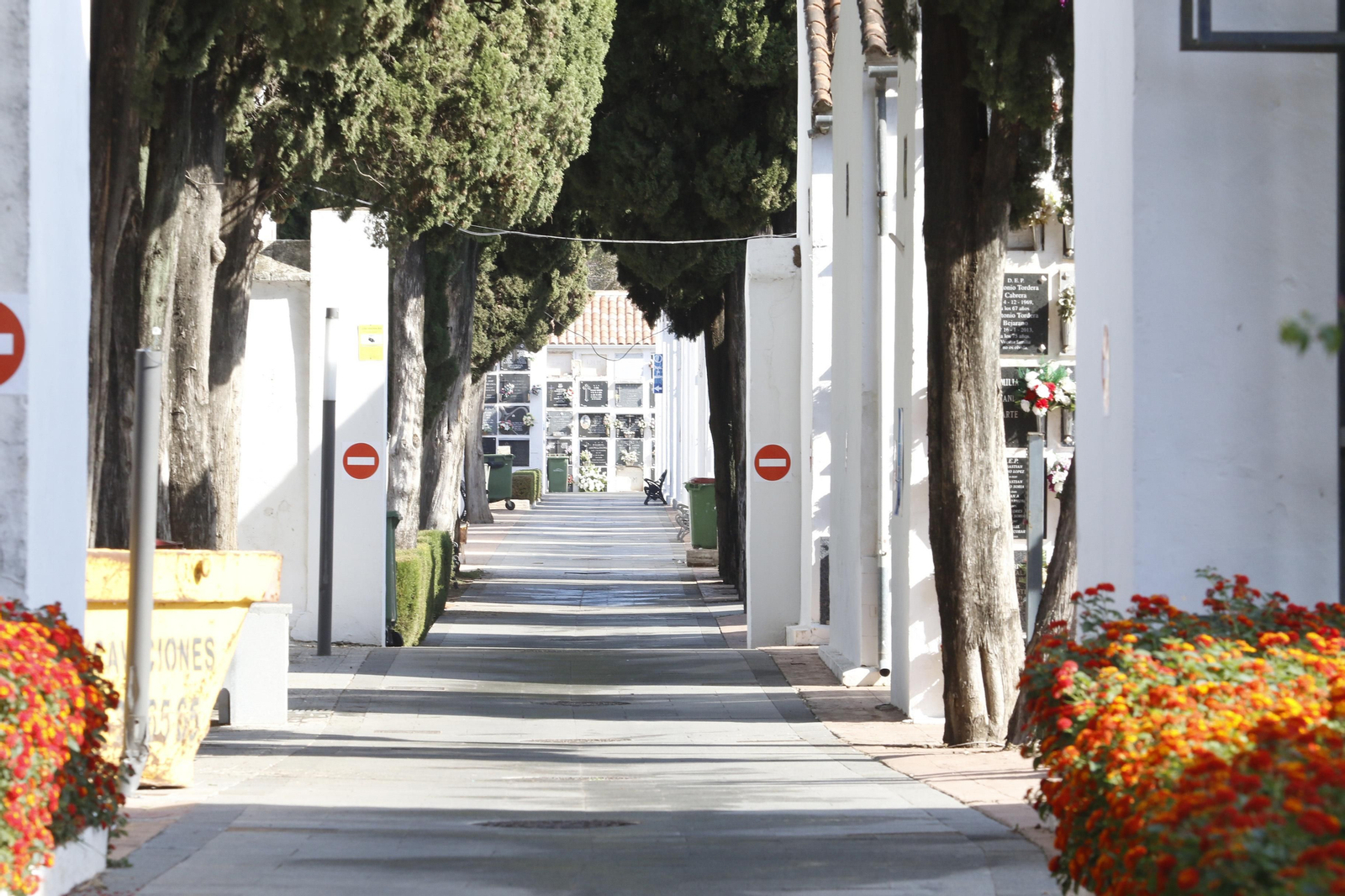 las fotos del día de Todos los Santos