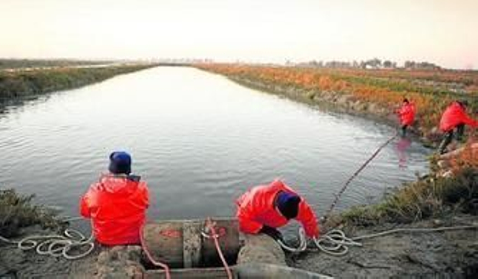 Trabajadores en uno de los esteros donde se pretenden criar, mantener y realizar un seguimiento de los ejemplares.