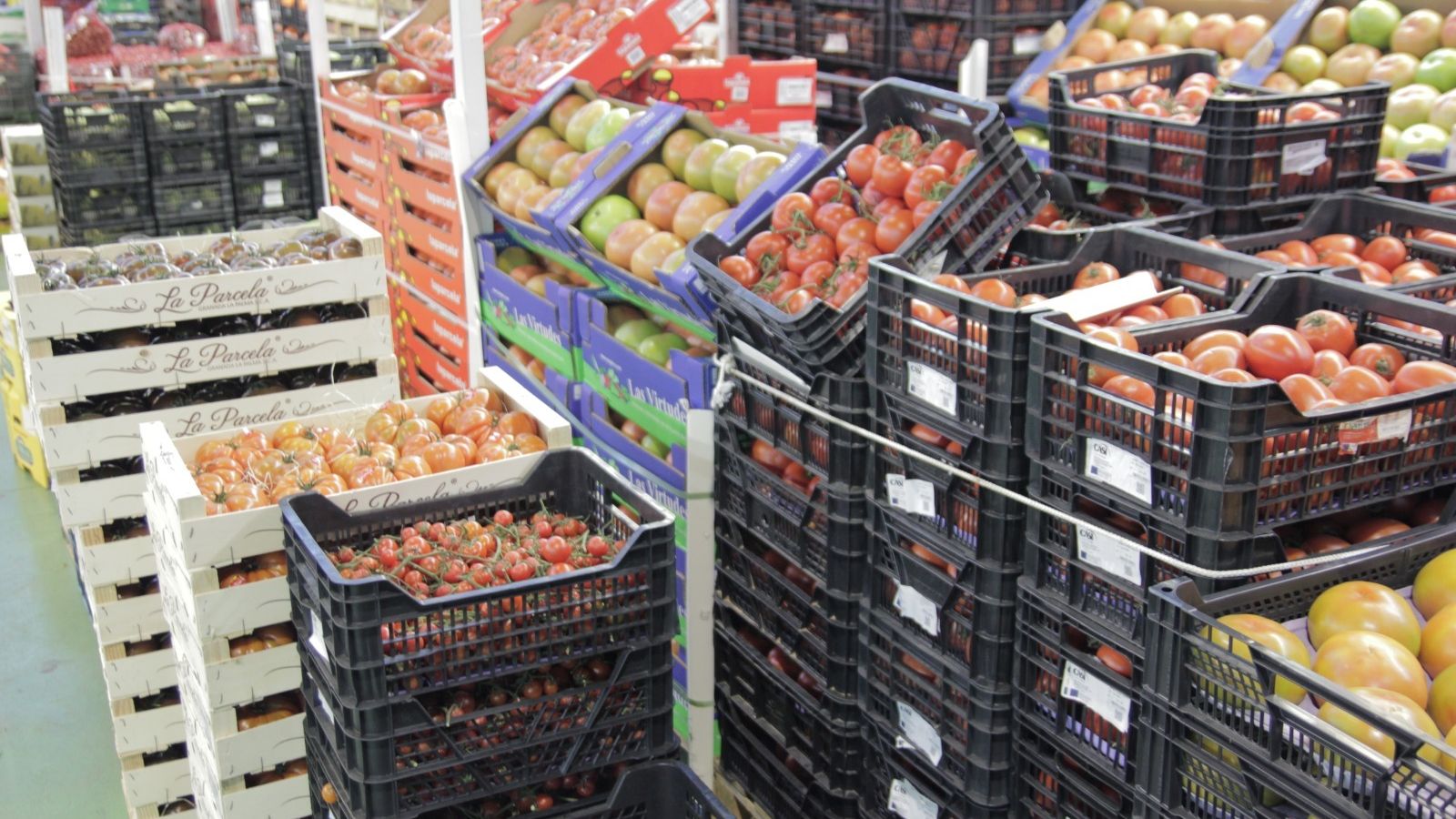 El abastecimiento está garantizado