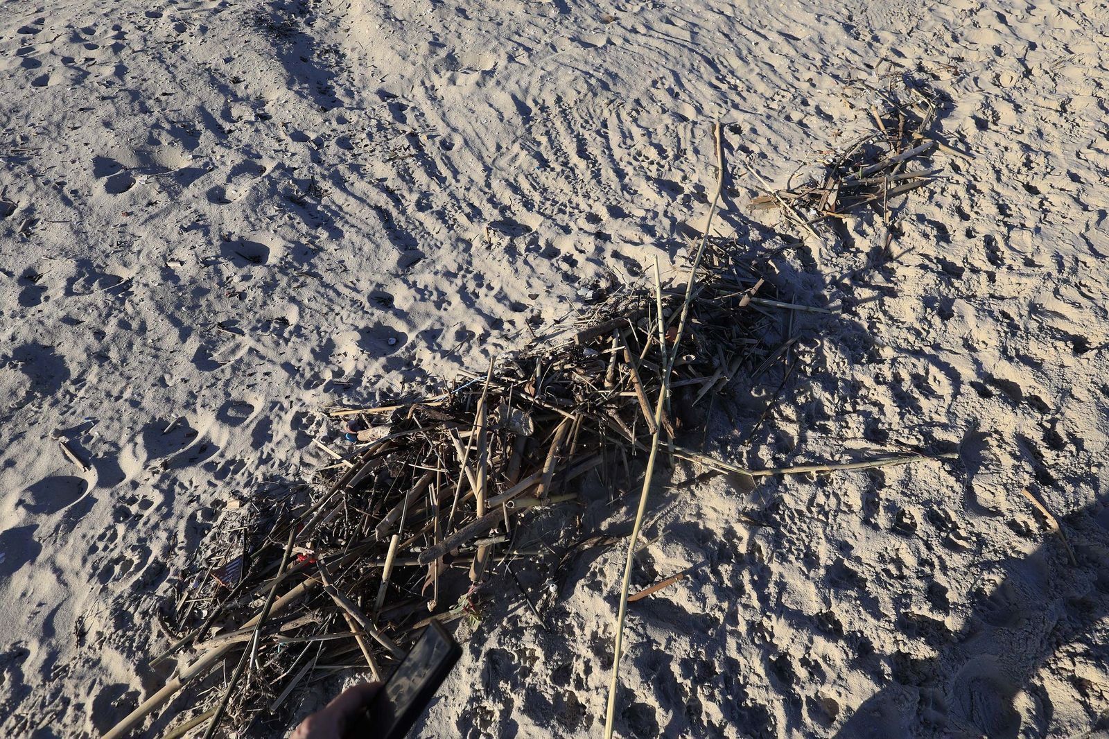 La playa del Rinconcillo de Algeciras tras la borrasca Francis, en imágenes