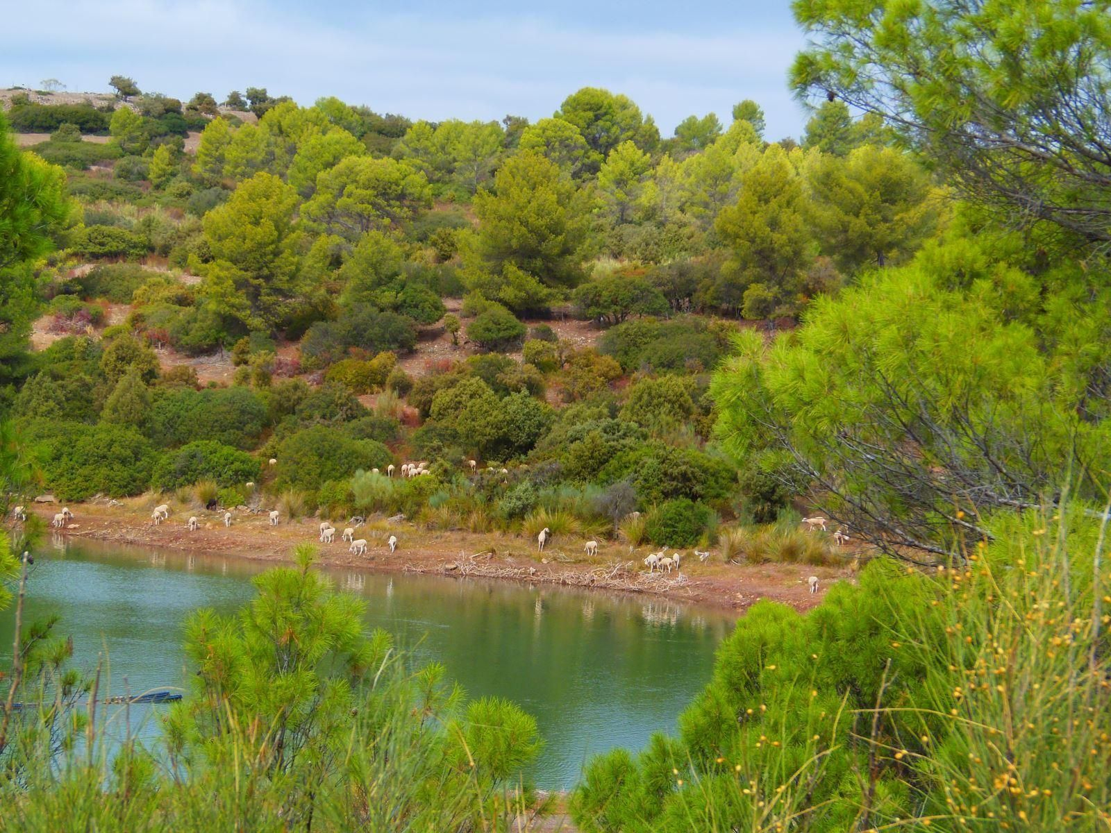 via-verde-segura-jaen