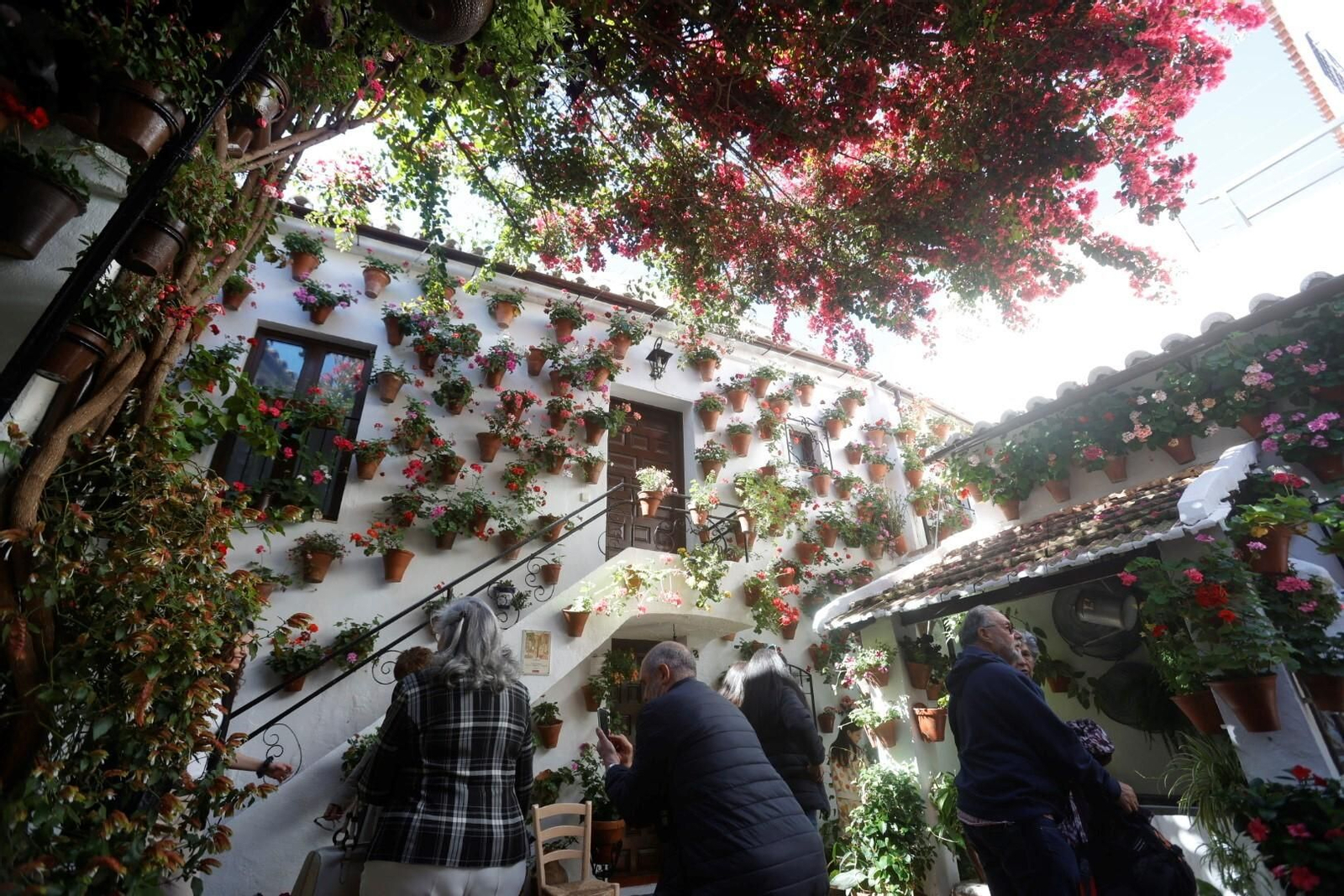 Las mejores imágenes del primer día de Patios en Córdoba