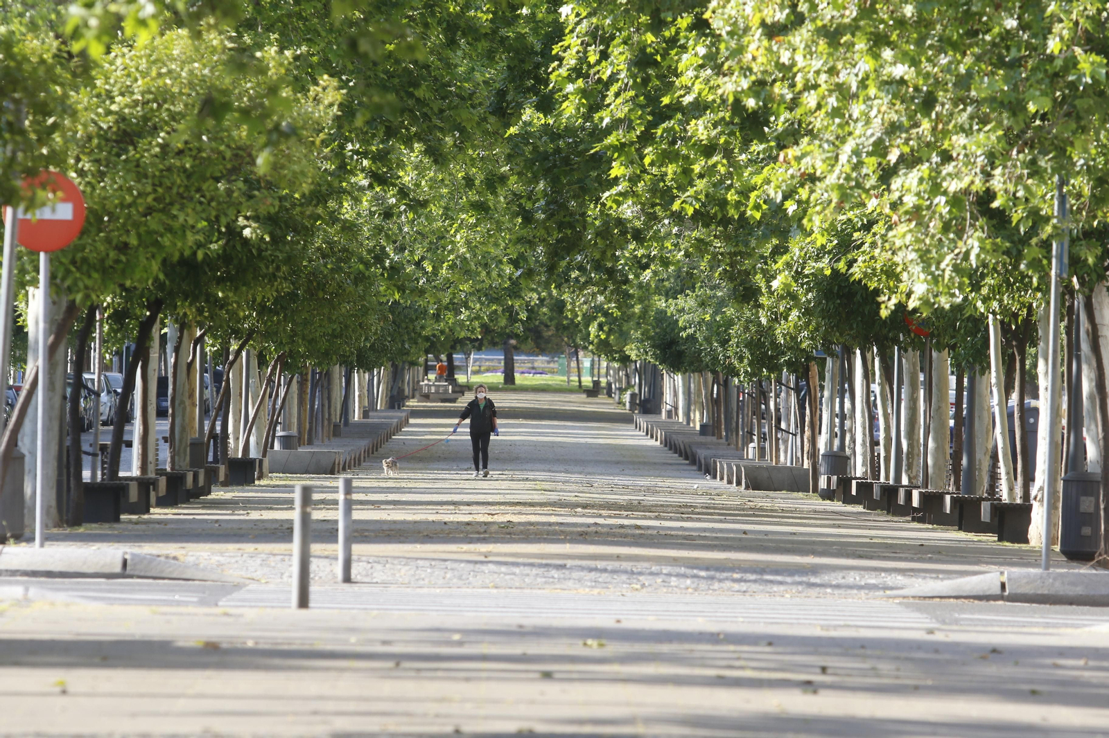 Una mujer pasea a un perro por Gran Vía Parque, en Córdoba capital.