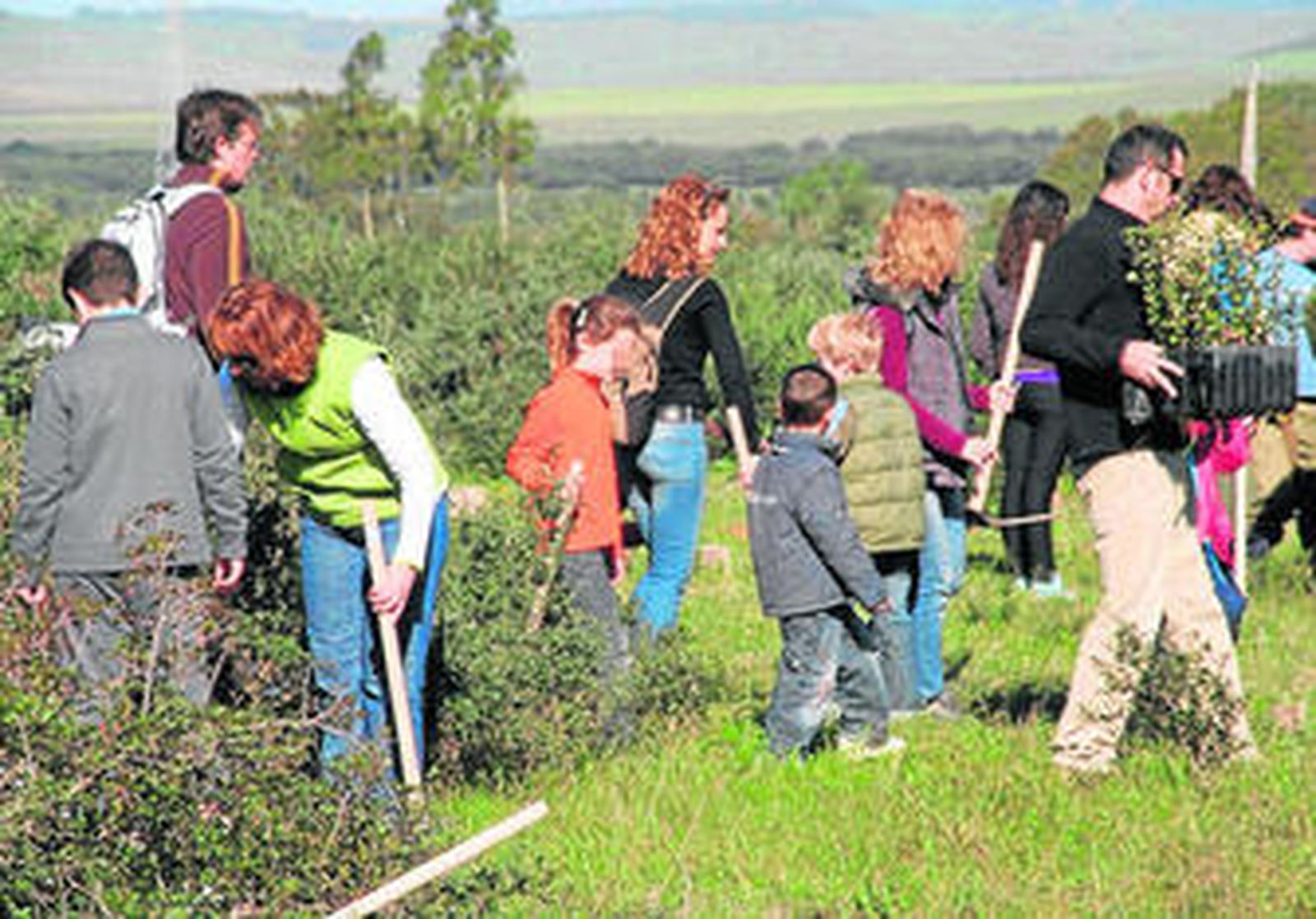 Tareas de reforestación participativa y desbroce de maleza.