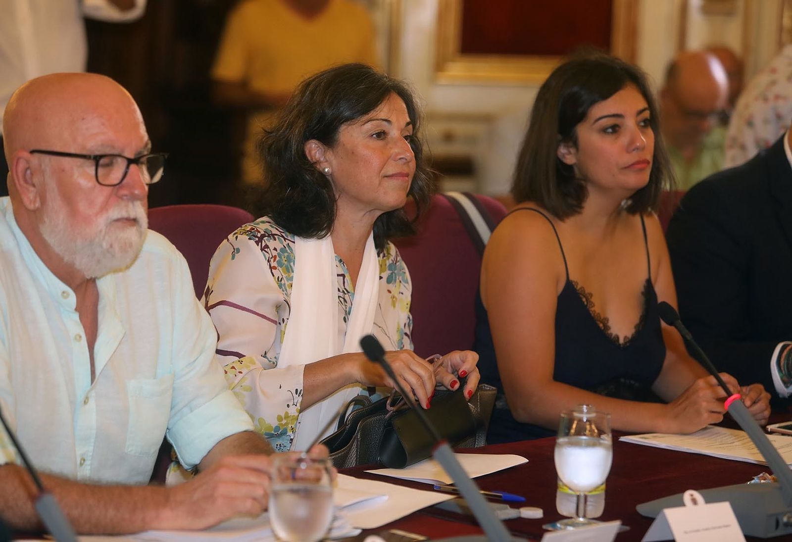 Maribel Peinado, durante su intervención en el pleno.