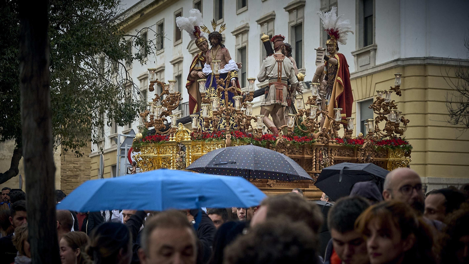 Cofradía del Despojado. Semana Santa de Cádiz  2024