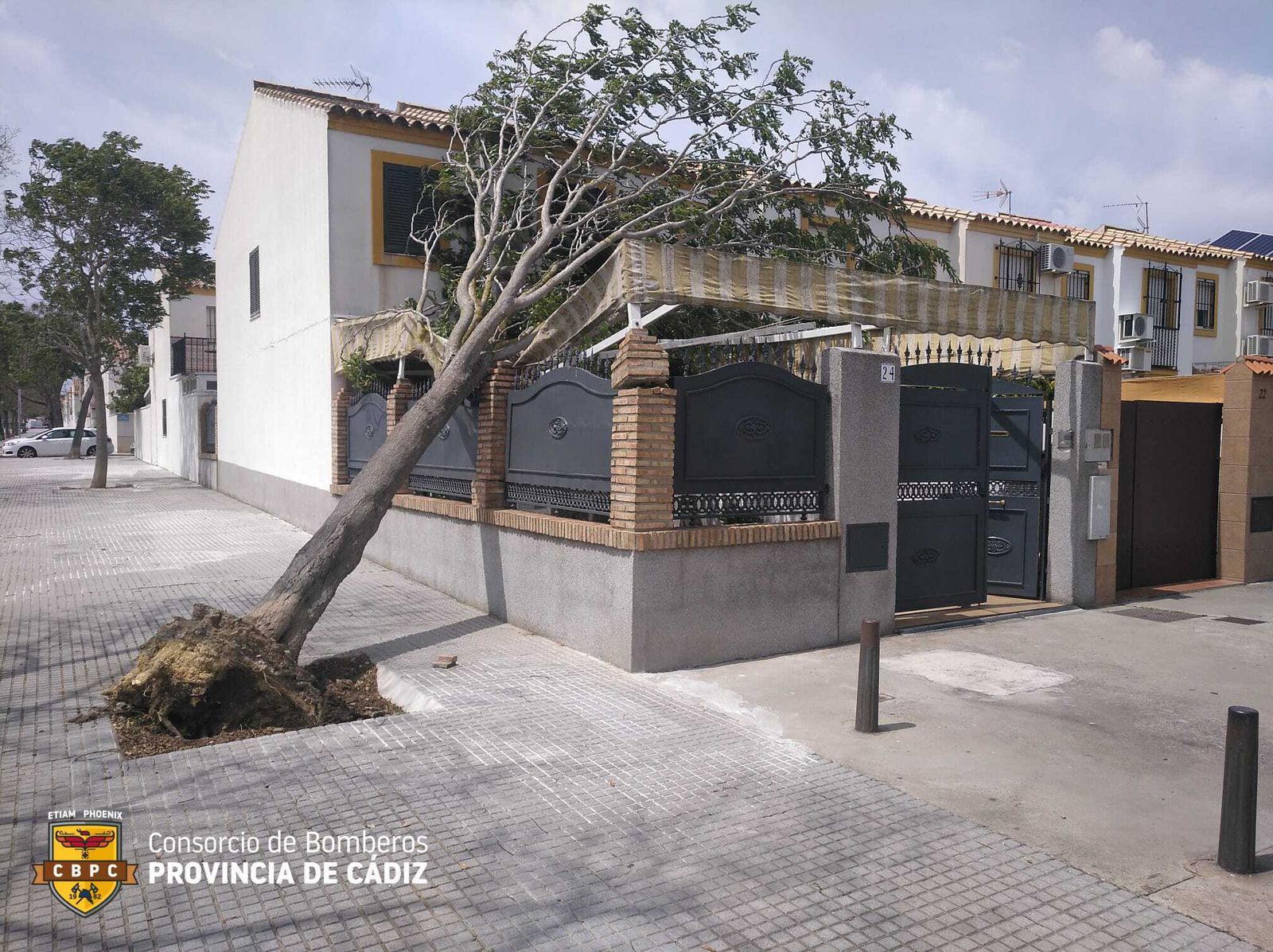 Intervenciones de bomberos de Jerez por el fuerte viento.