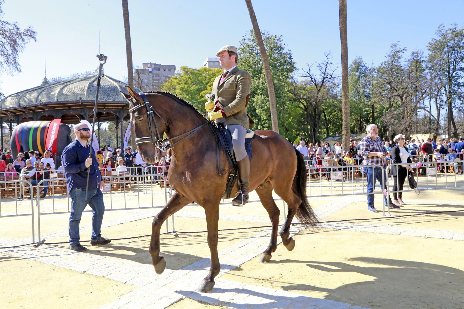 Imágenes de San Antón 2020 en Jerez