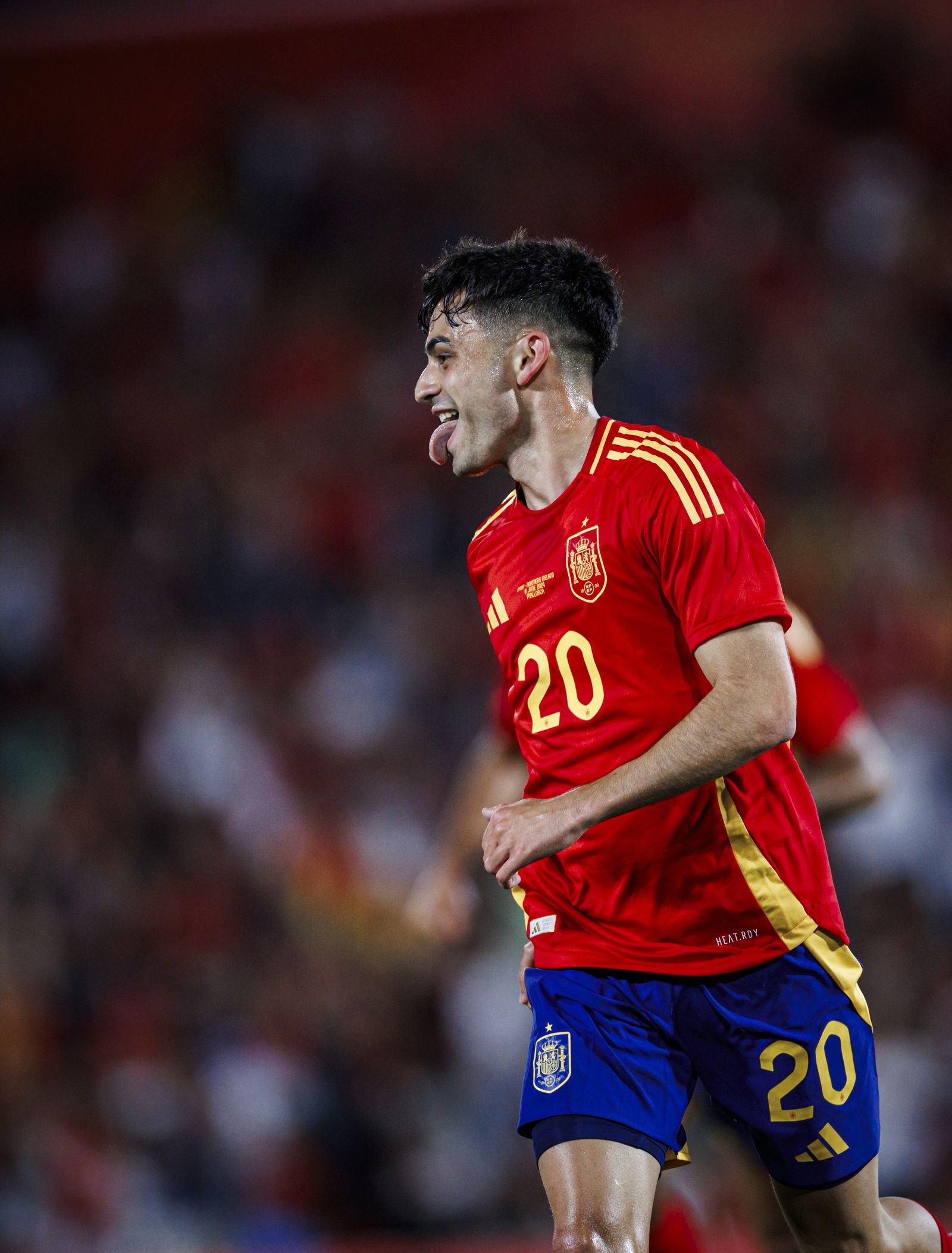 España-Irlanda del Norte