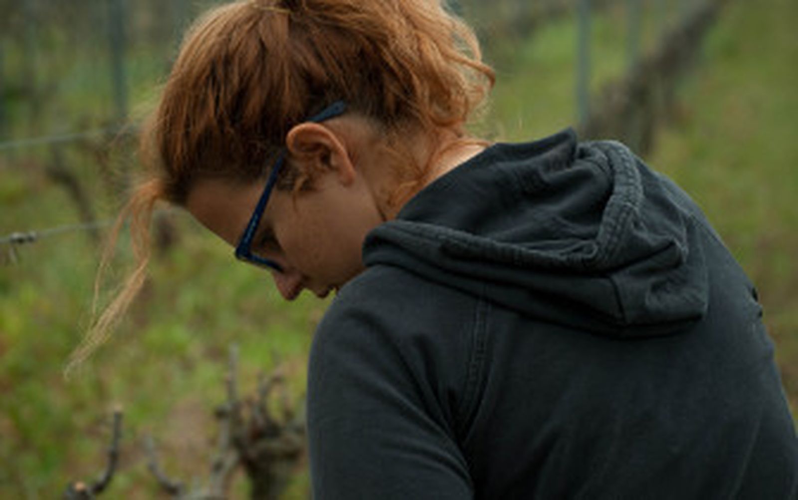 Un soplo de aire fresco en el Marco