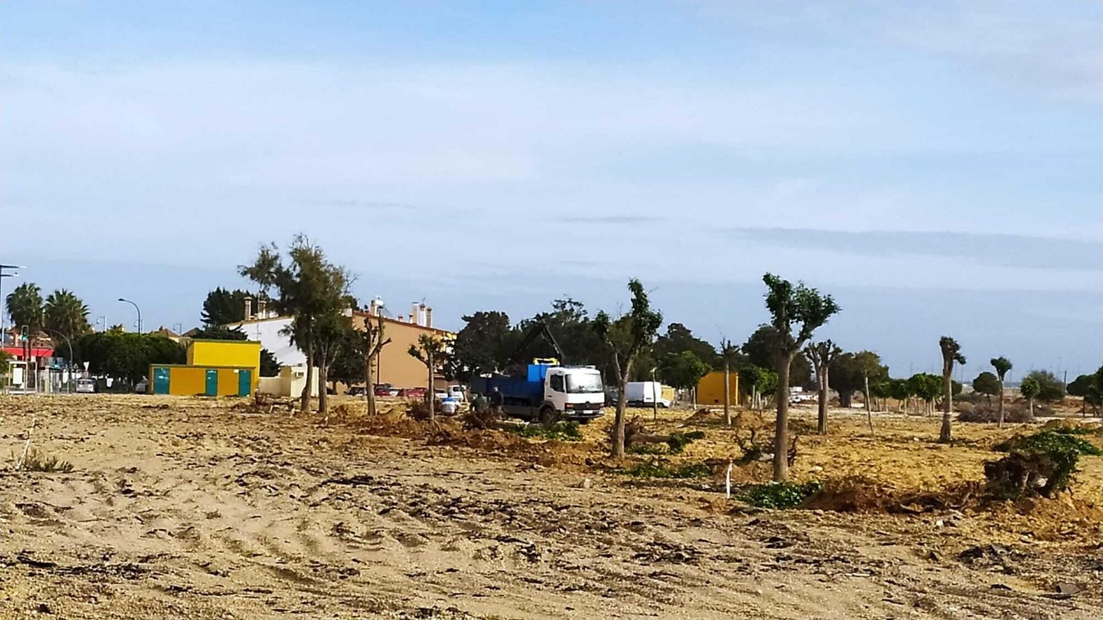 Retirada de los primeros árboles en la zona de La Magdalena.